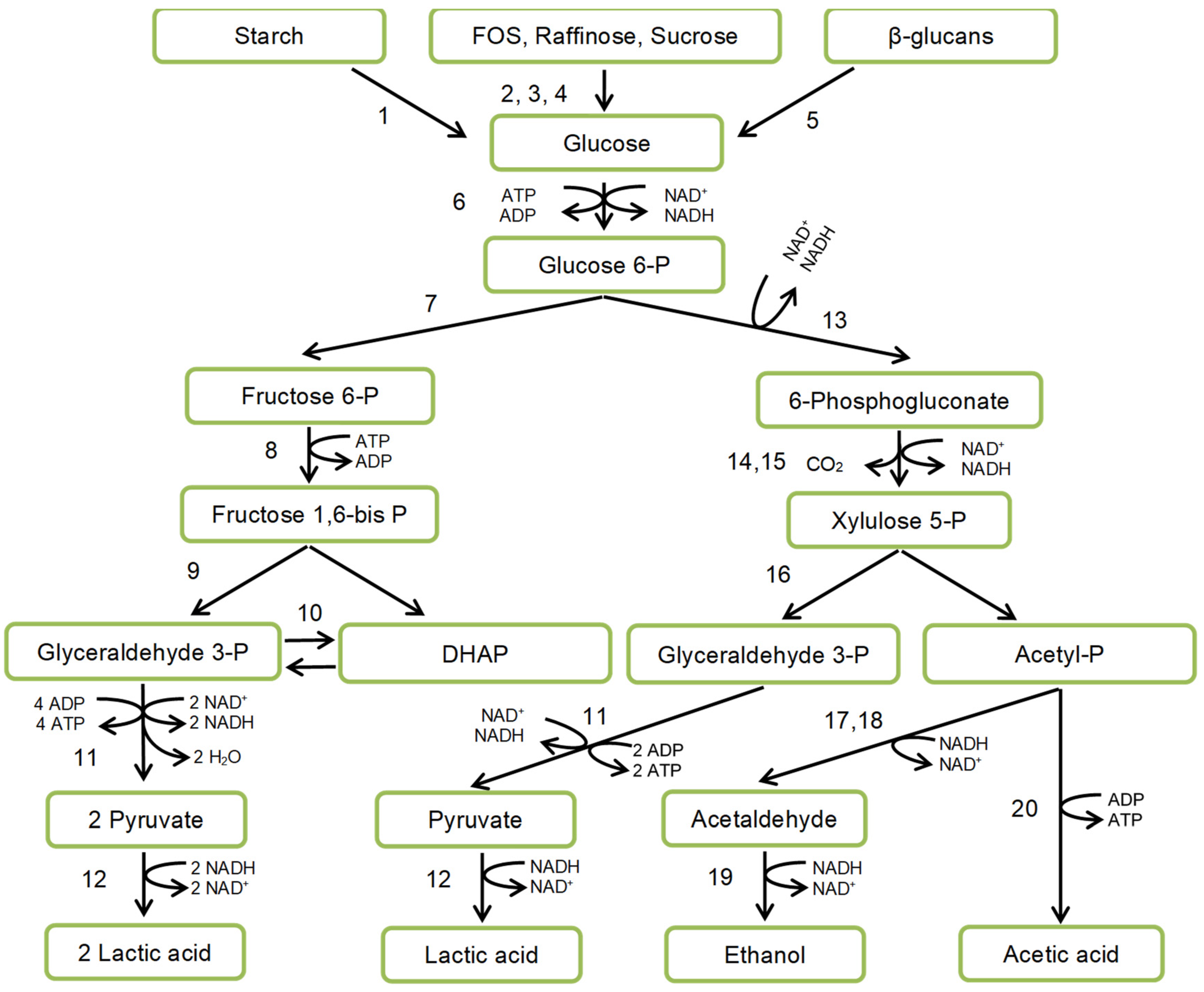 Nutrients 12 01118 g003