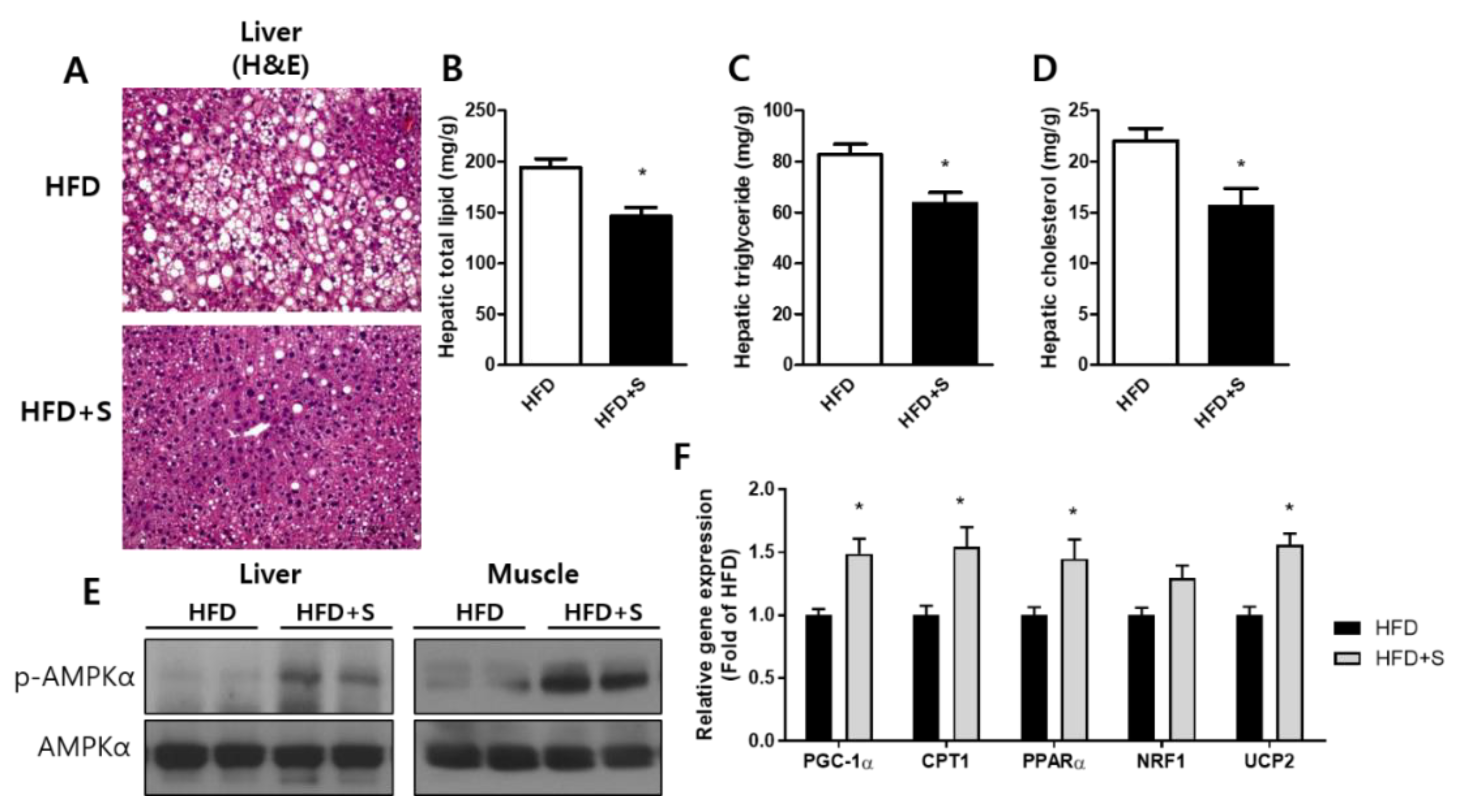Nutrients 12 01133 g007
