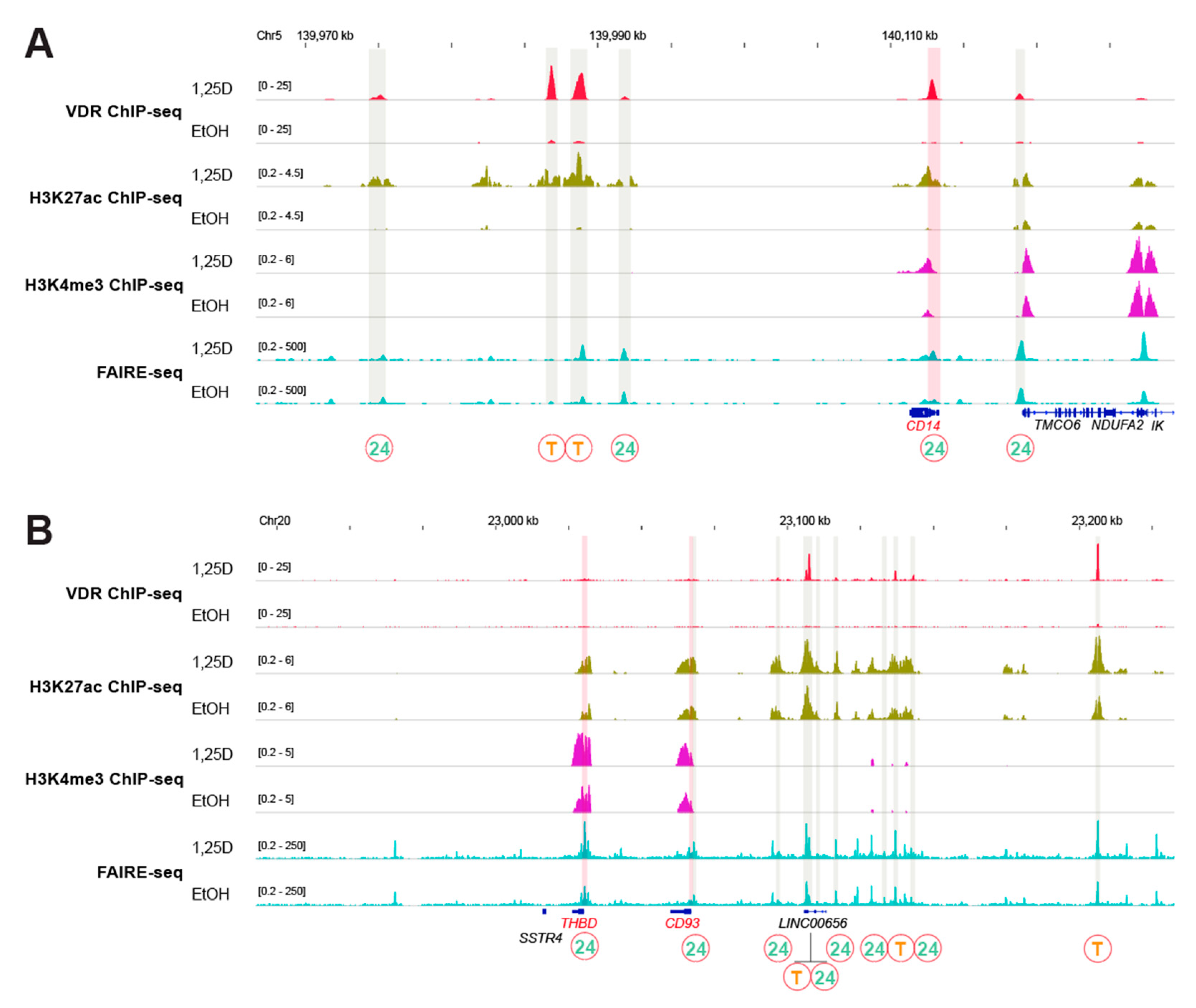 Nutrients 12 01140 g002 Nutrients 12 01140 g002