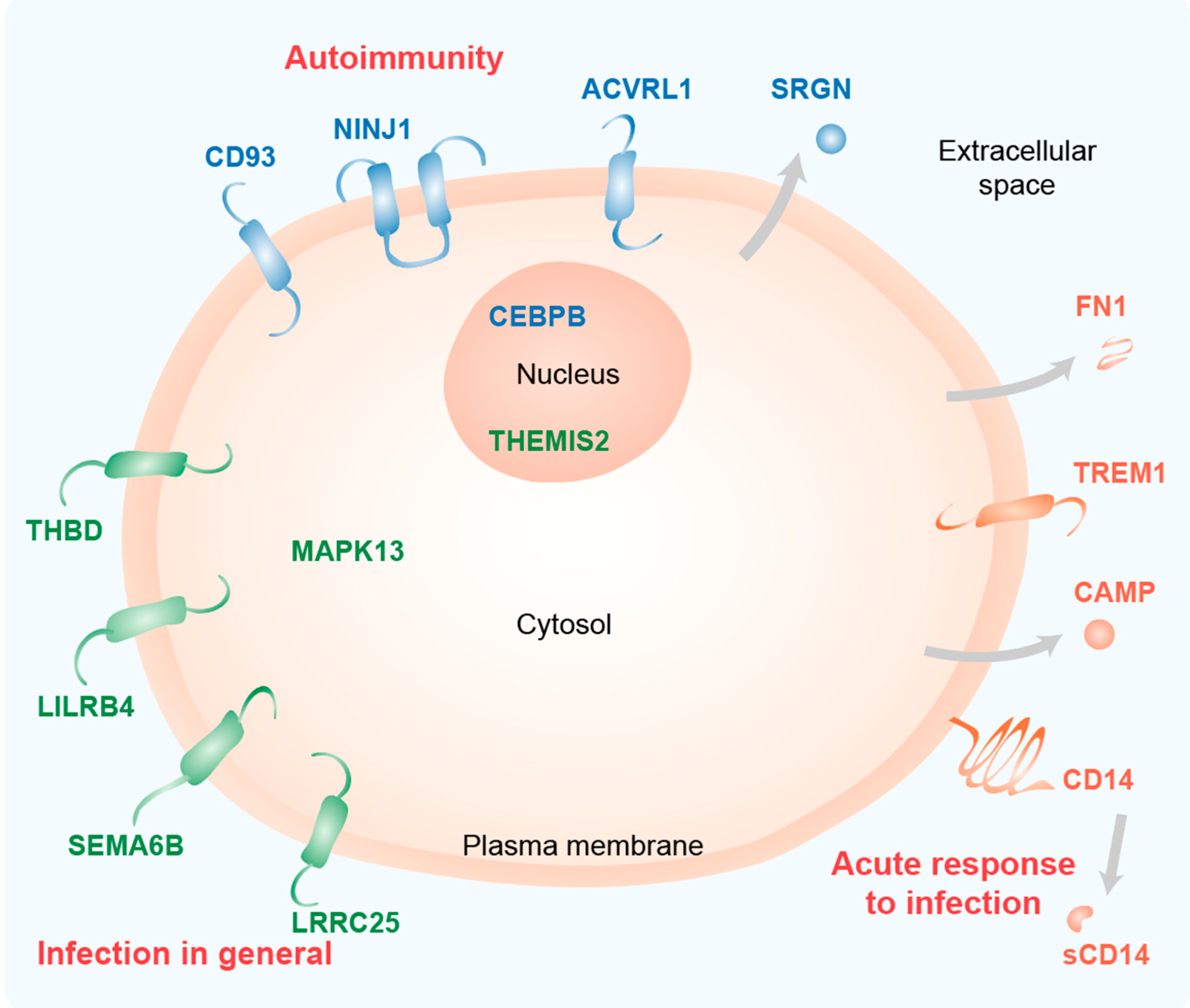 Nutrients 12 01140 g005 Nutrients 12 01140 g005