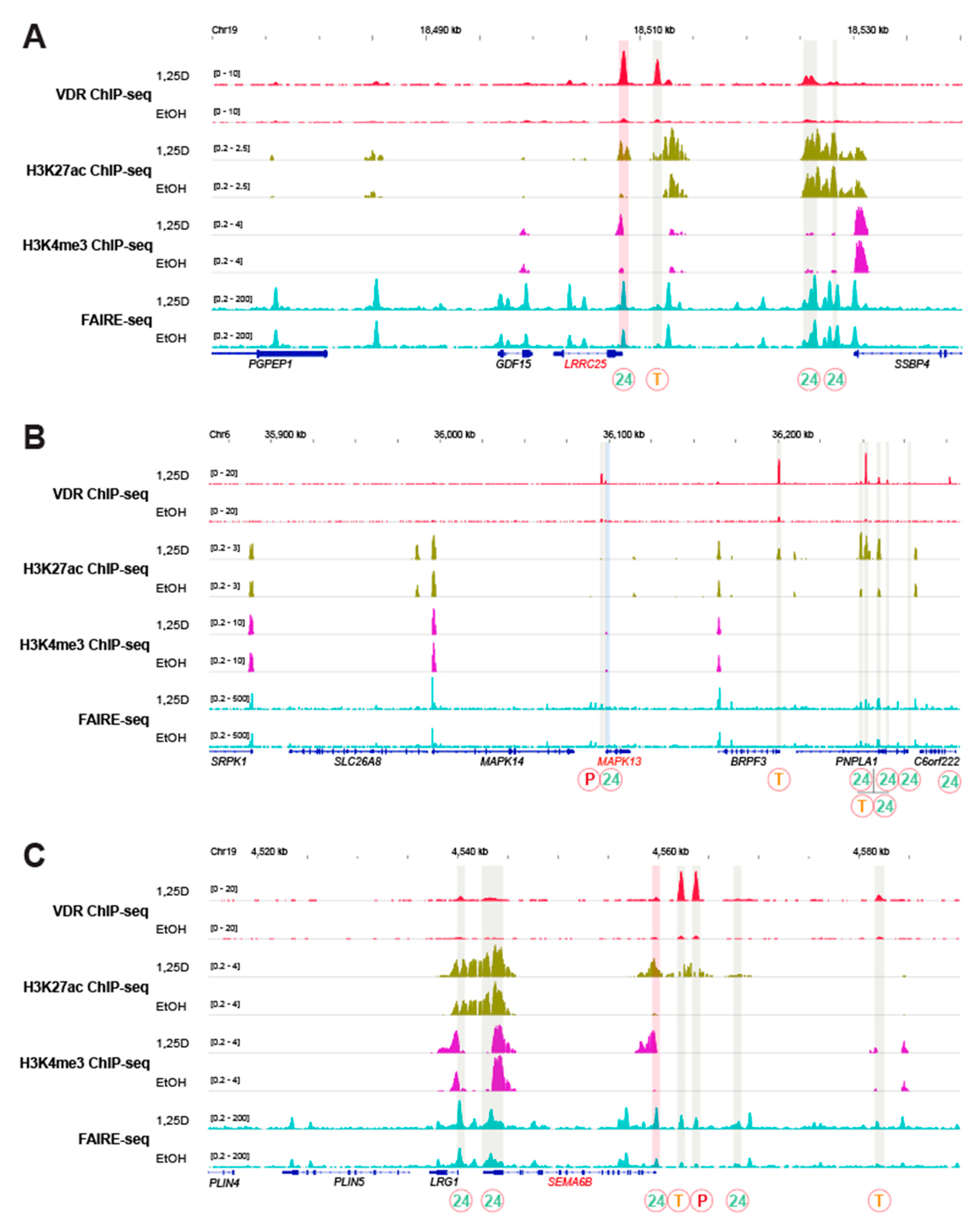Nutrients 12 01140 g0a3 Nutrients 12 01140 g0a3