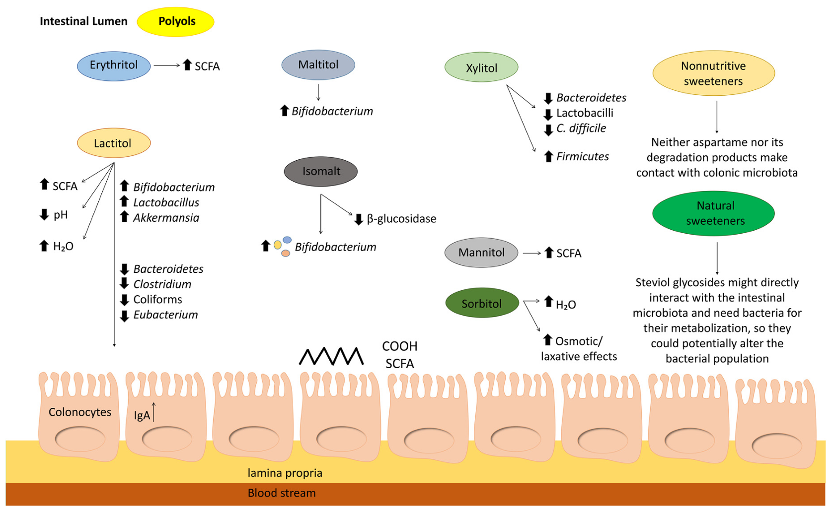 Nutrients 12 01153 g001