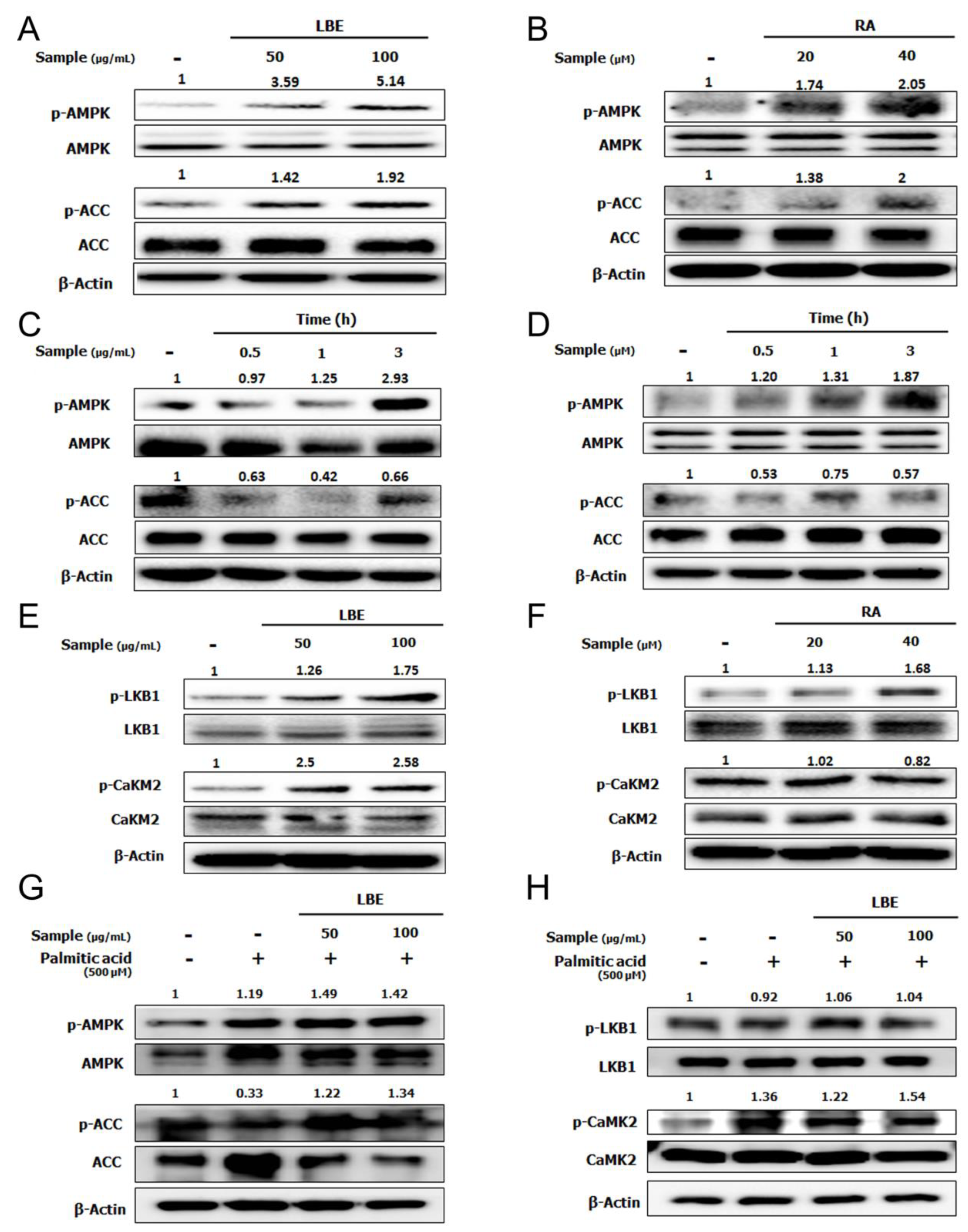 Nutrients 12 01166 g005
