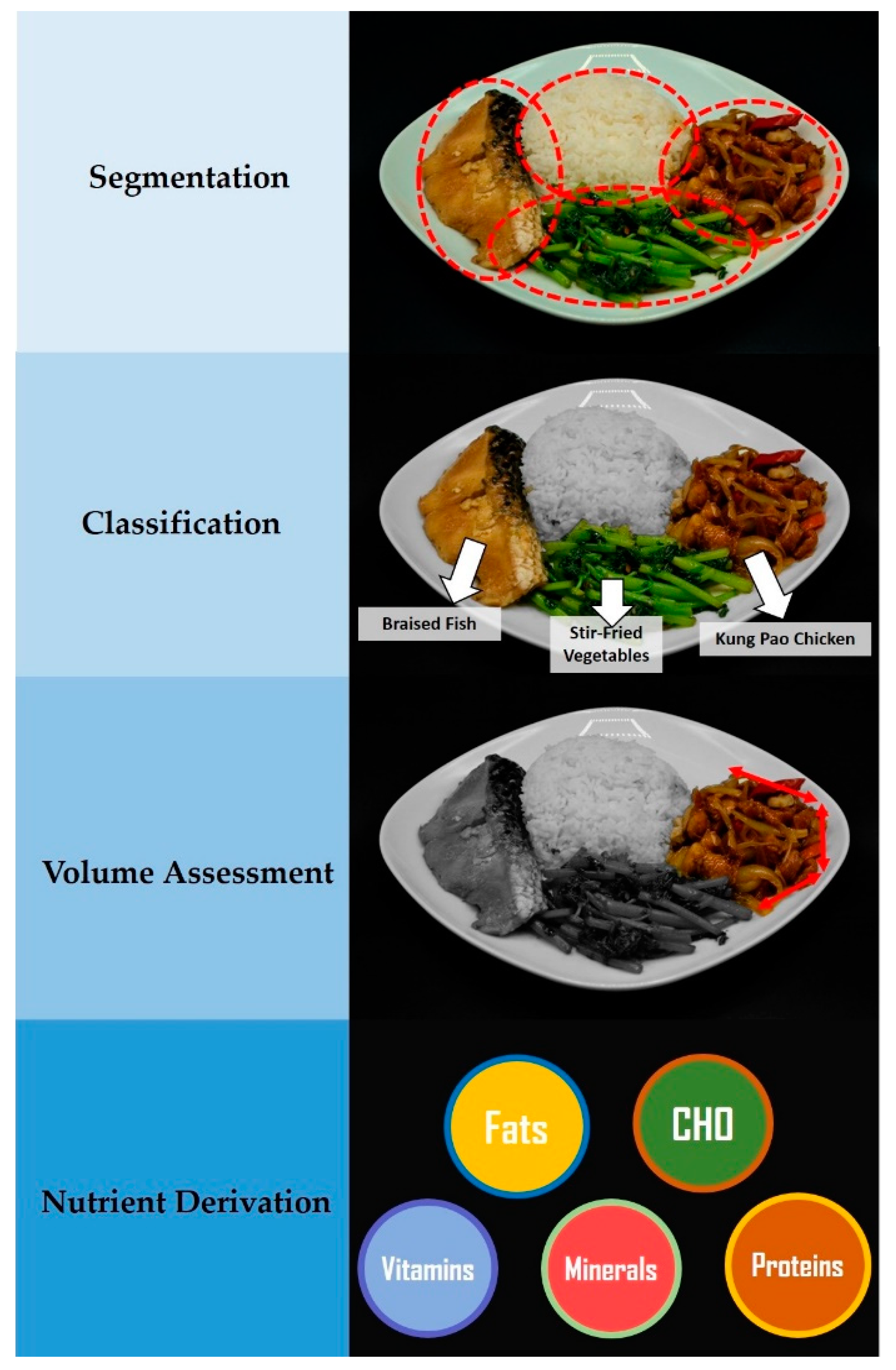 Nutrients 12 01167 g001