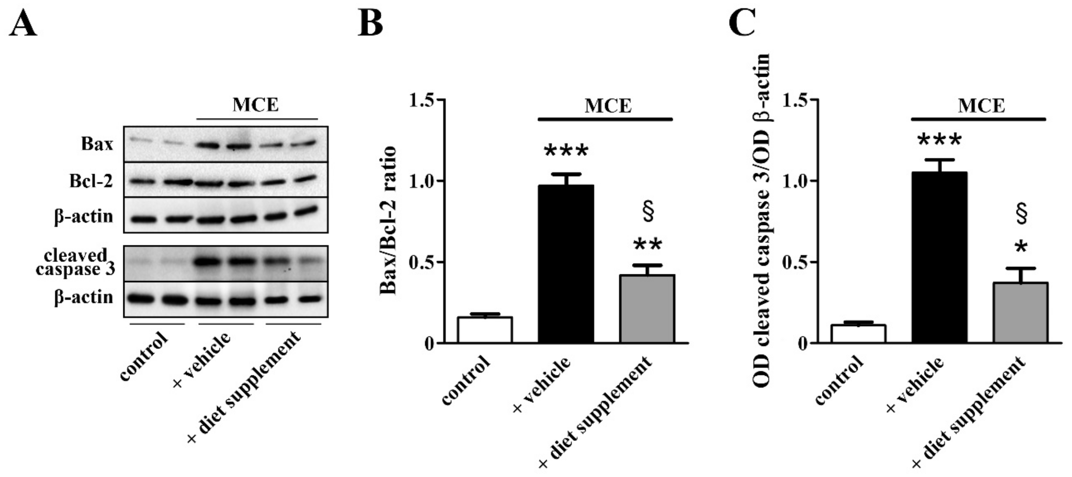 Nutrients 12 01189 g007