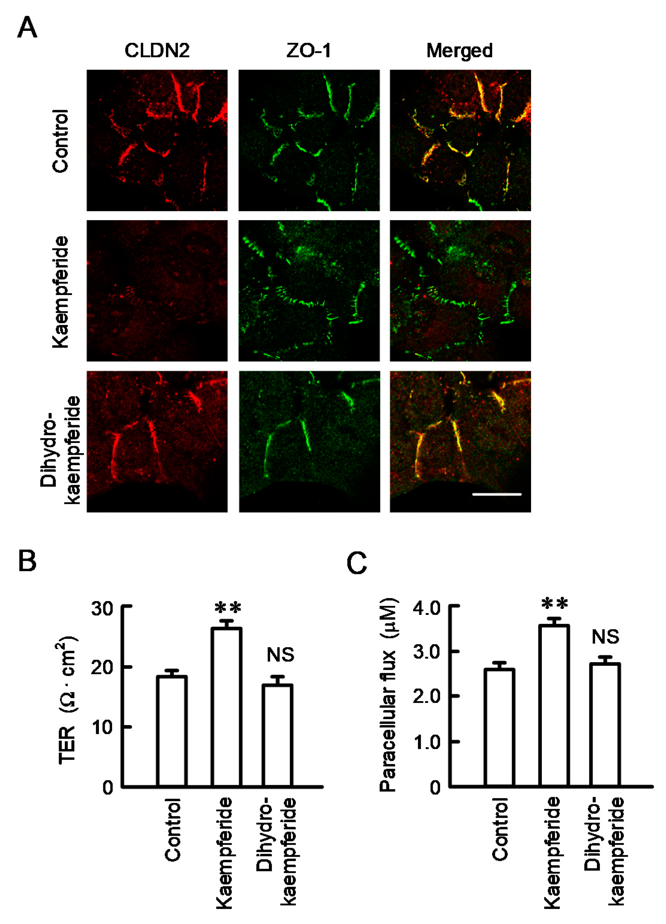 Nutrients 12 01190 g008 Nutrients 12 01190 g008