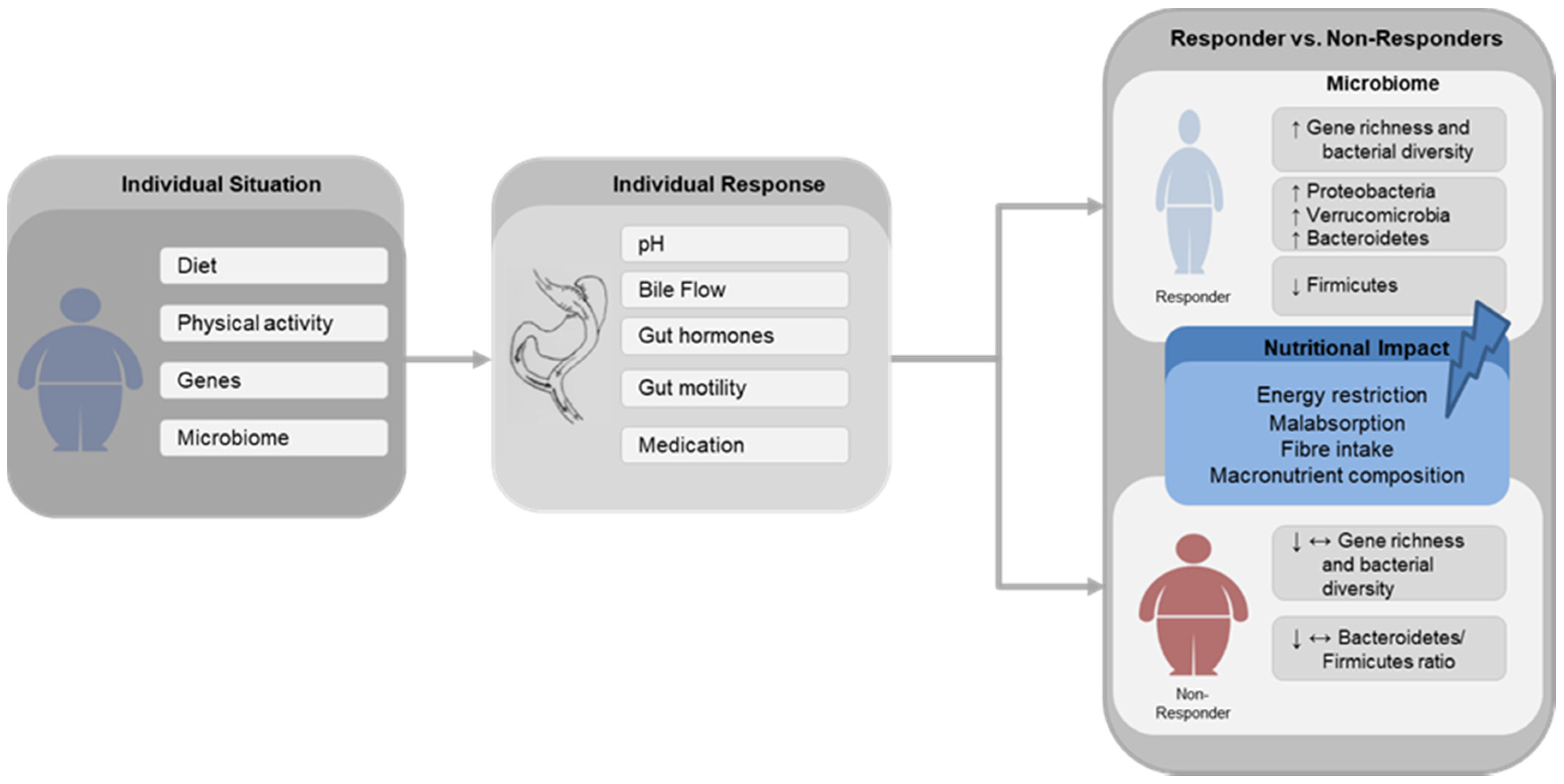 Nutrients 12 01199 g001