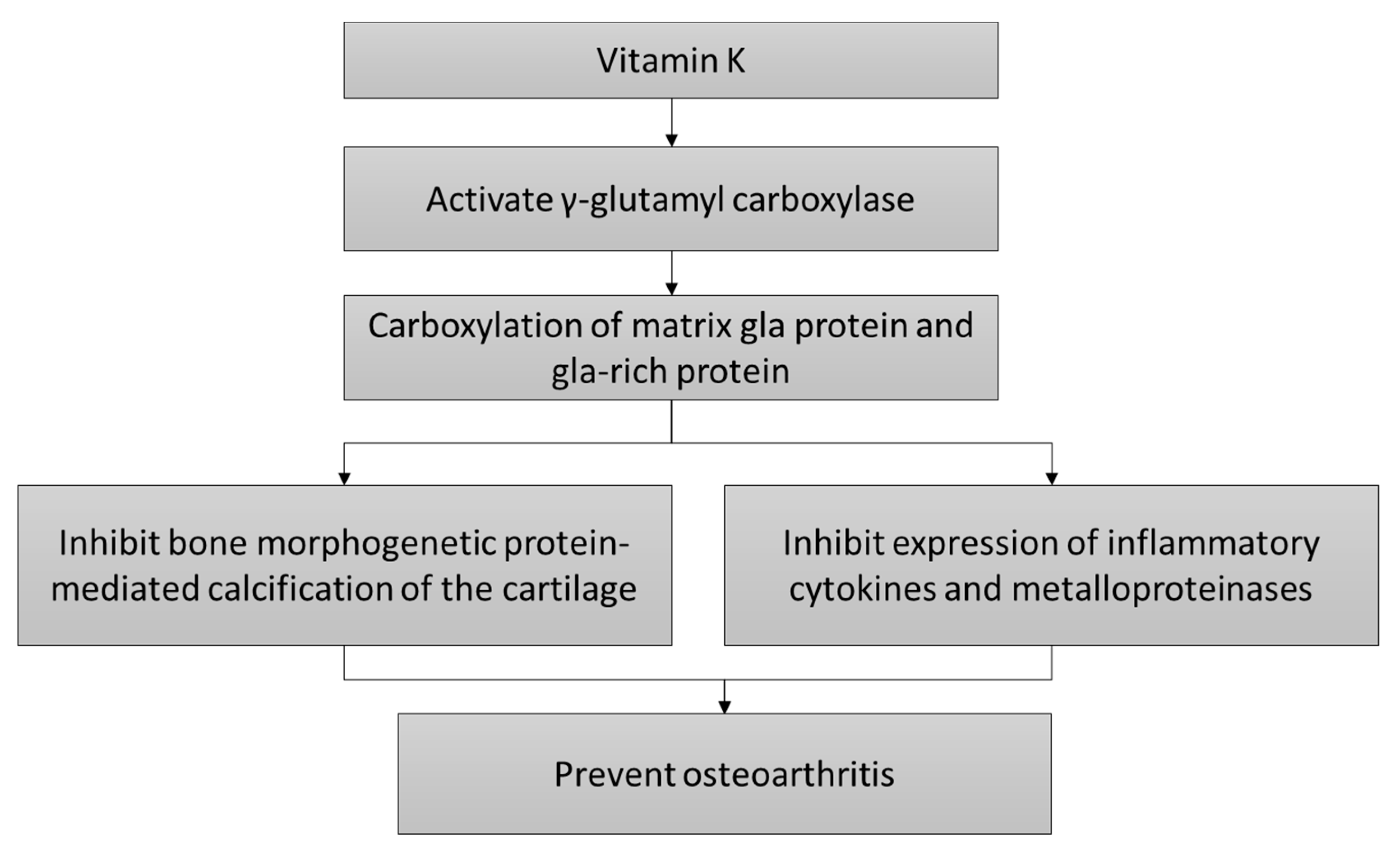 Nutrients 12 01208 g001