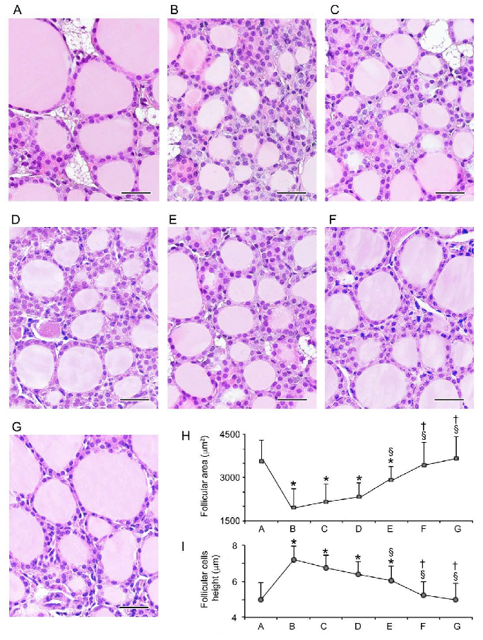 Nutrients 12 01222 g001 Nutrients 12 01222 g001