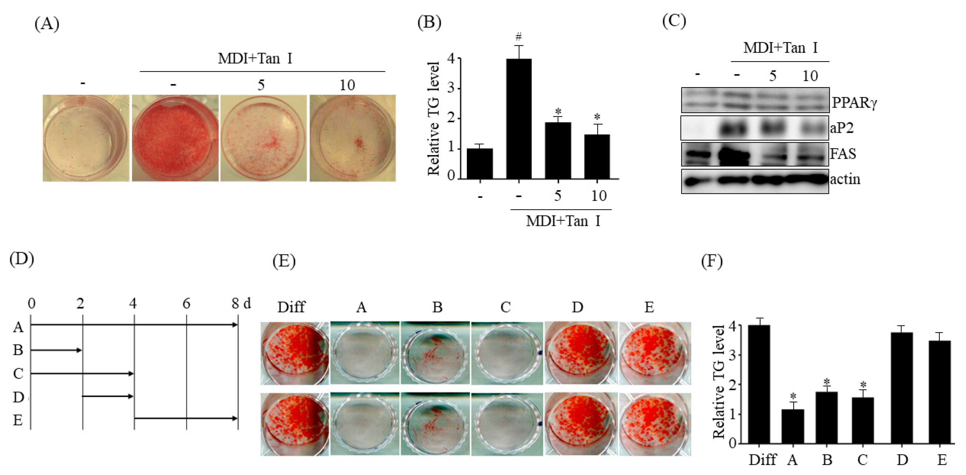 Nutrients 12 01242 g003 Nutrients 12 01242 g003