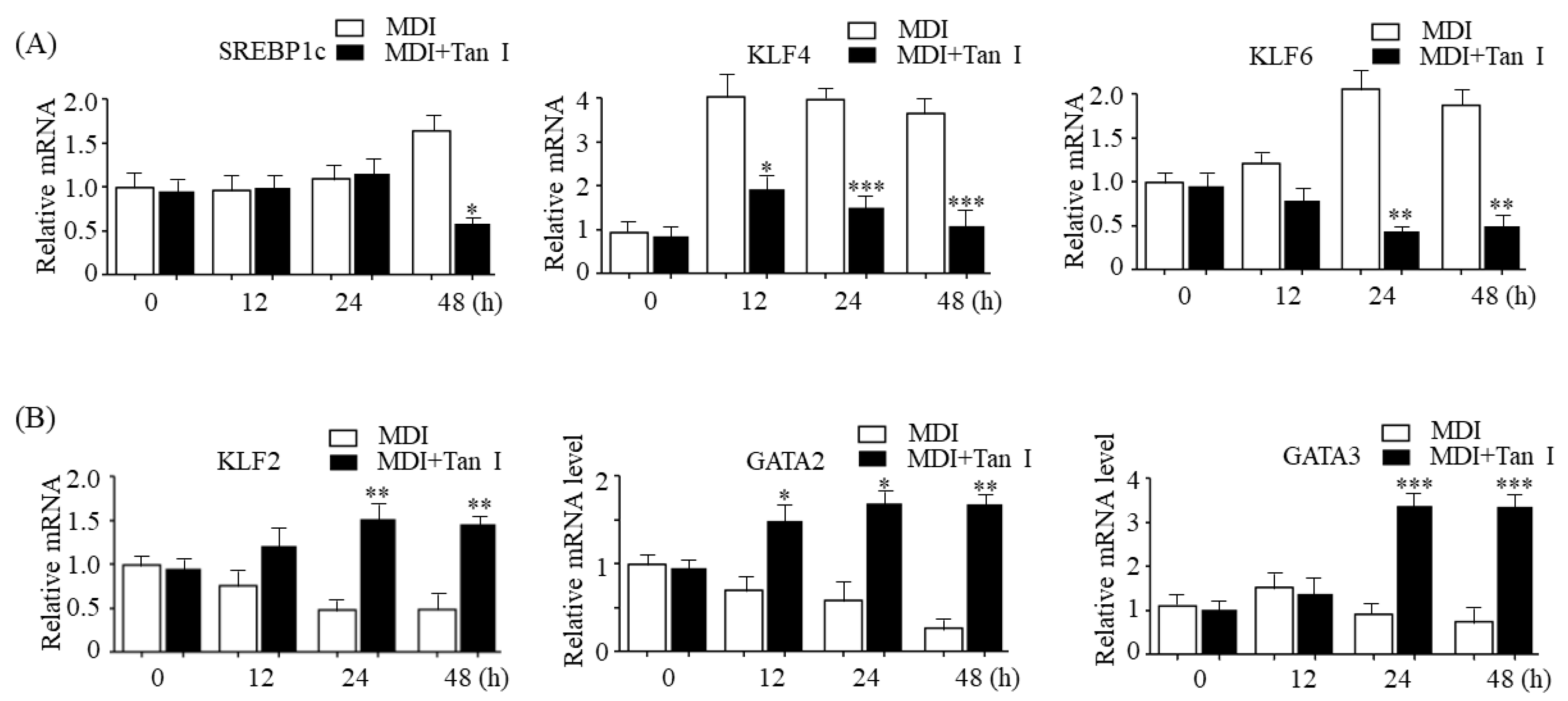 Nutrients 12 01242 g007 Nutrients 12 01242 g007