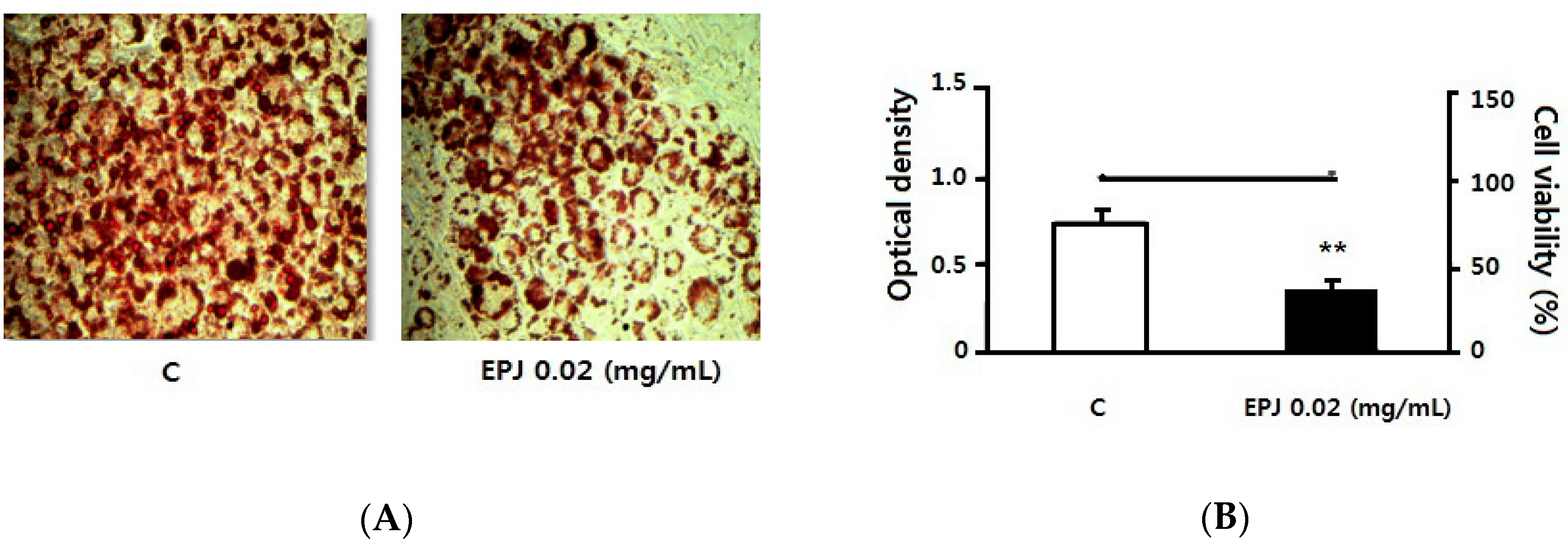 Nutrients 12 01261 g004 Nutrients 12 01261 g004