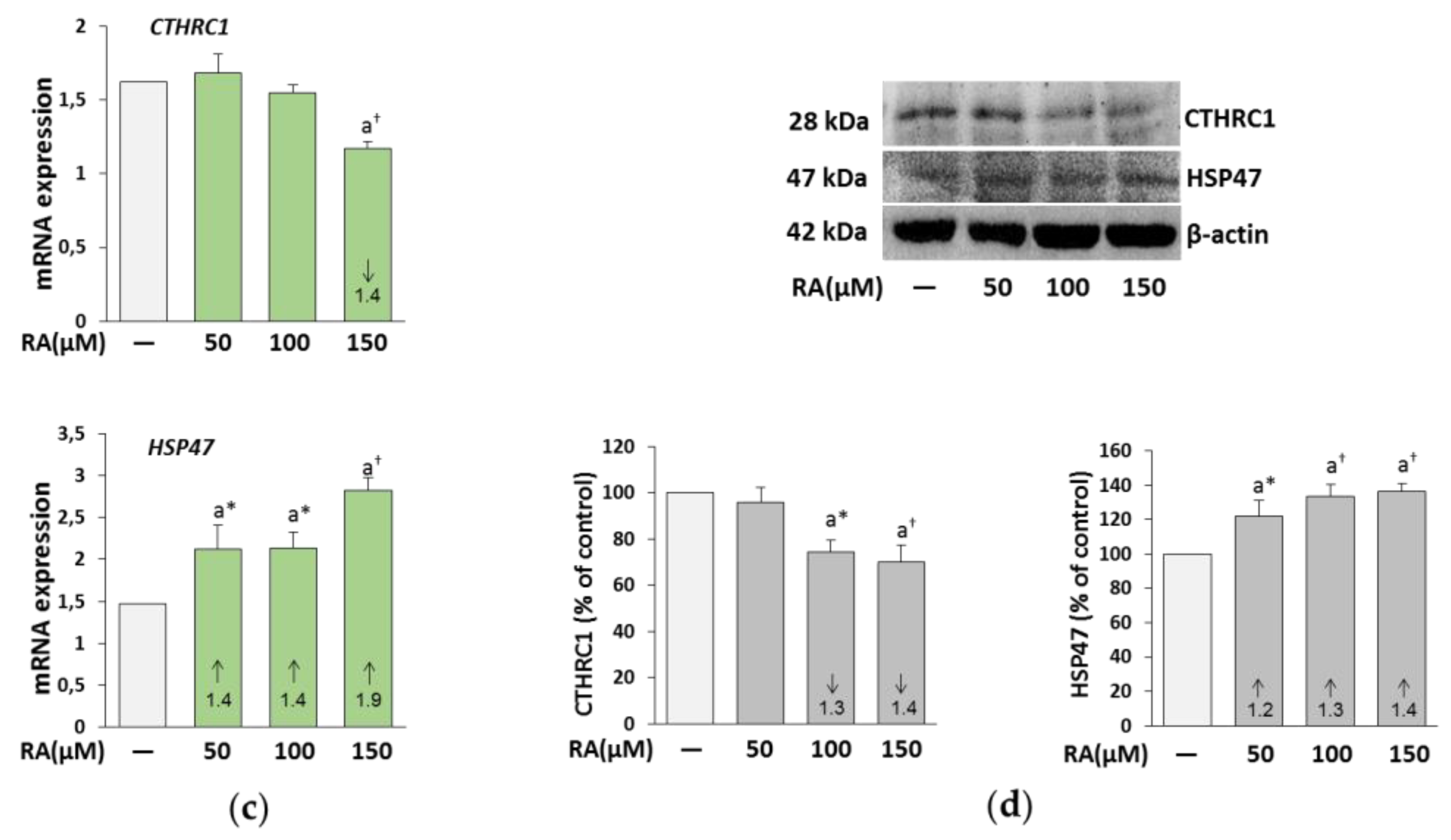 Nutrients 12 01282 g006b Nutrients 12 01282 g006b