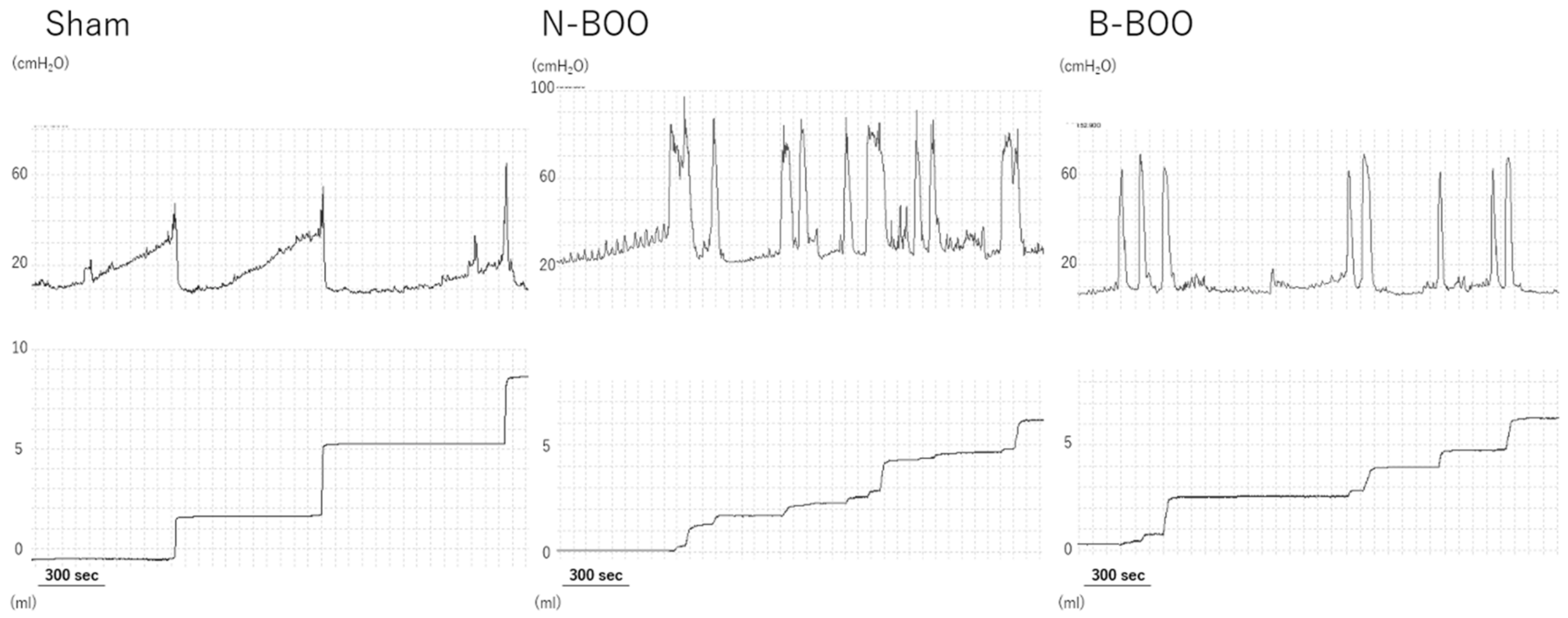 Nutrients 12 01285 g001 Nutrients 12 01285 g001