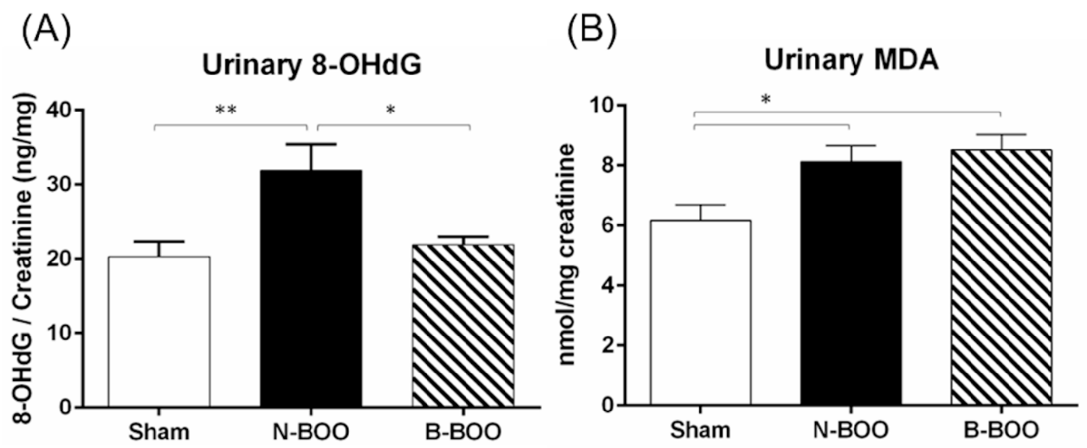 Nutrients 12 01285 g002 Nutrients 12 01285 g002