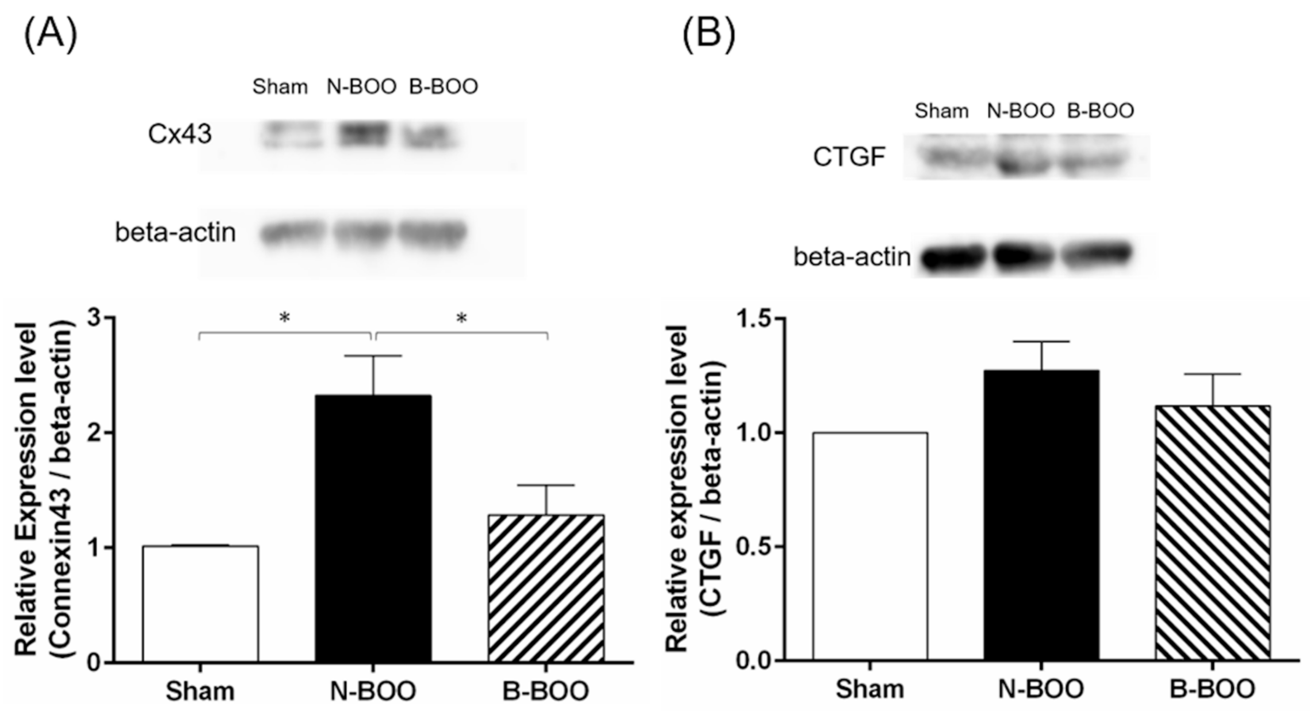 Nutrients 12 01285 g004 Nutrients 12 01285 g004