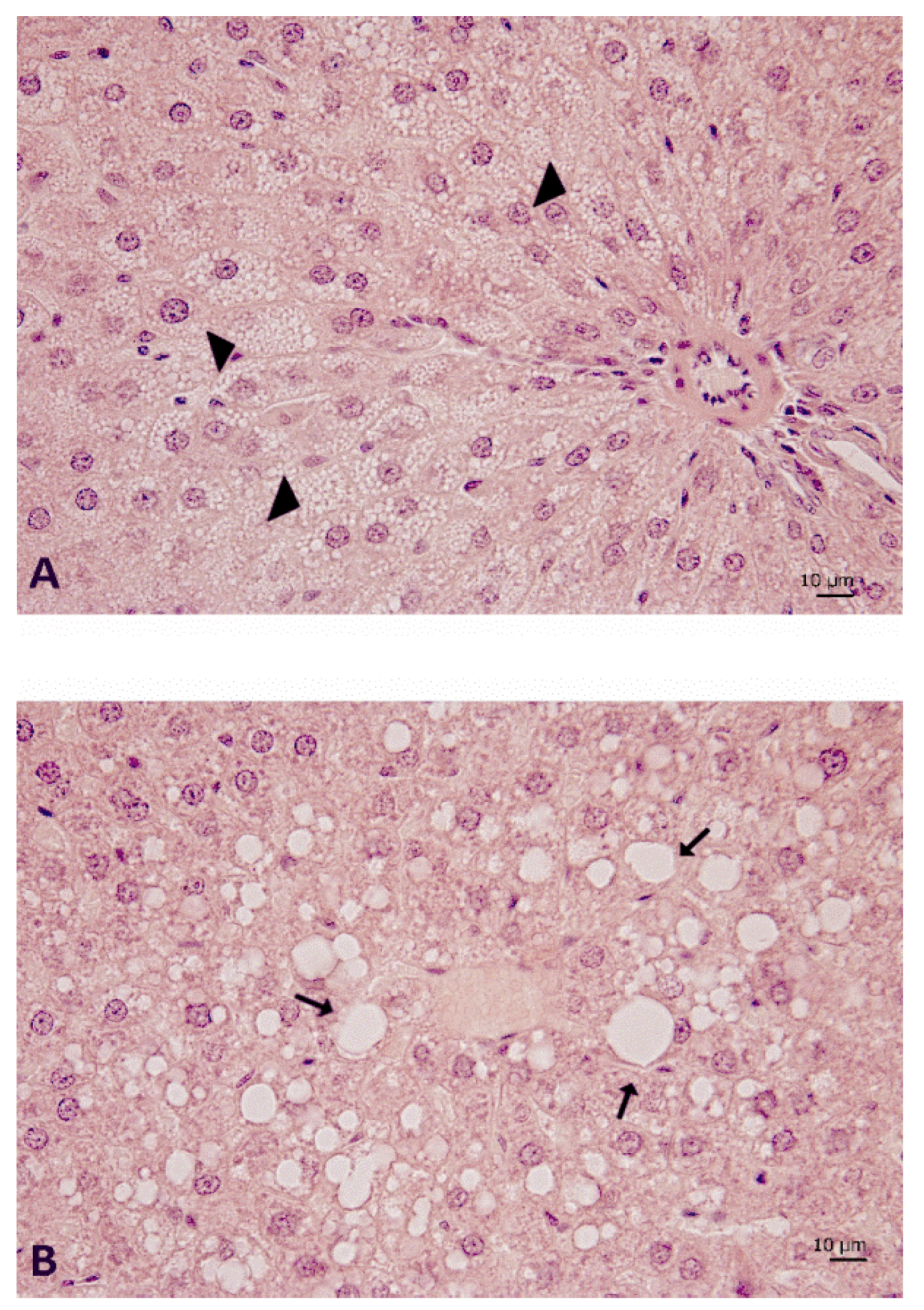 Nutrients 12 01308 g006