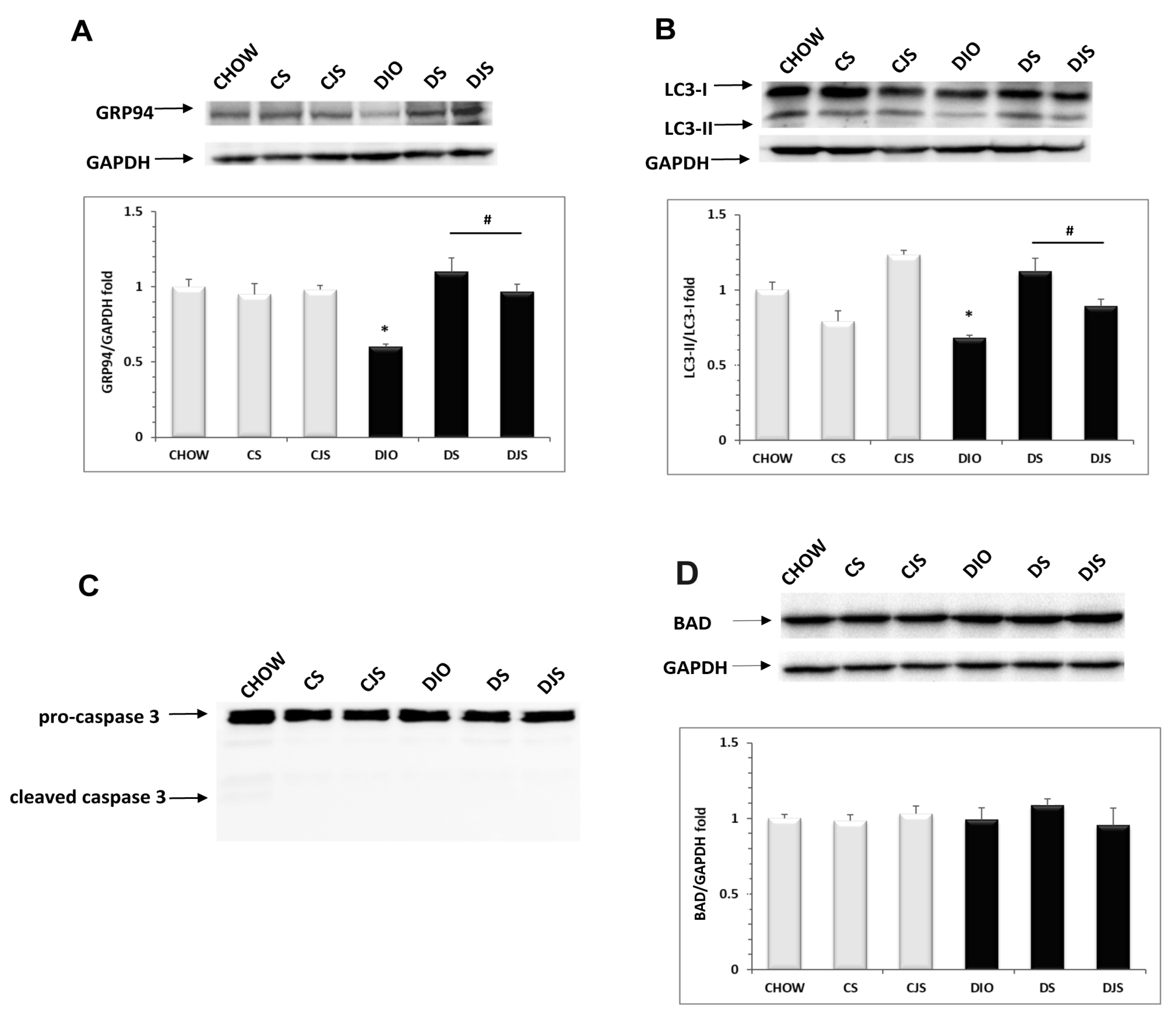 Nutrients 12 01308 g008