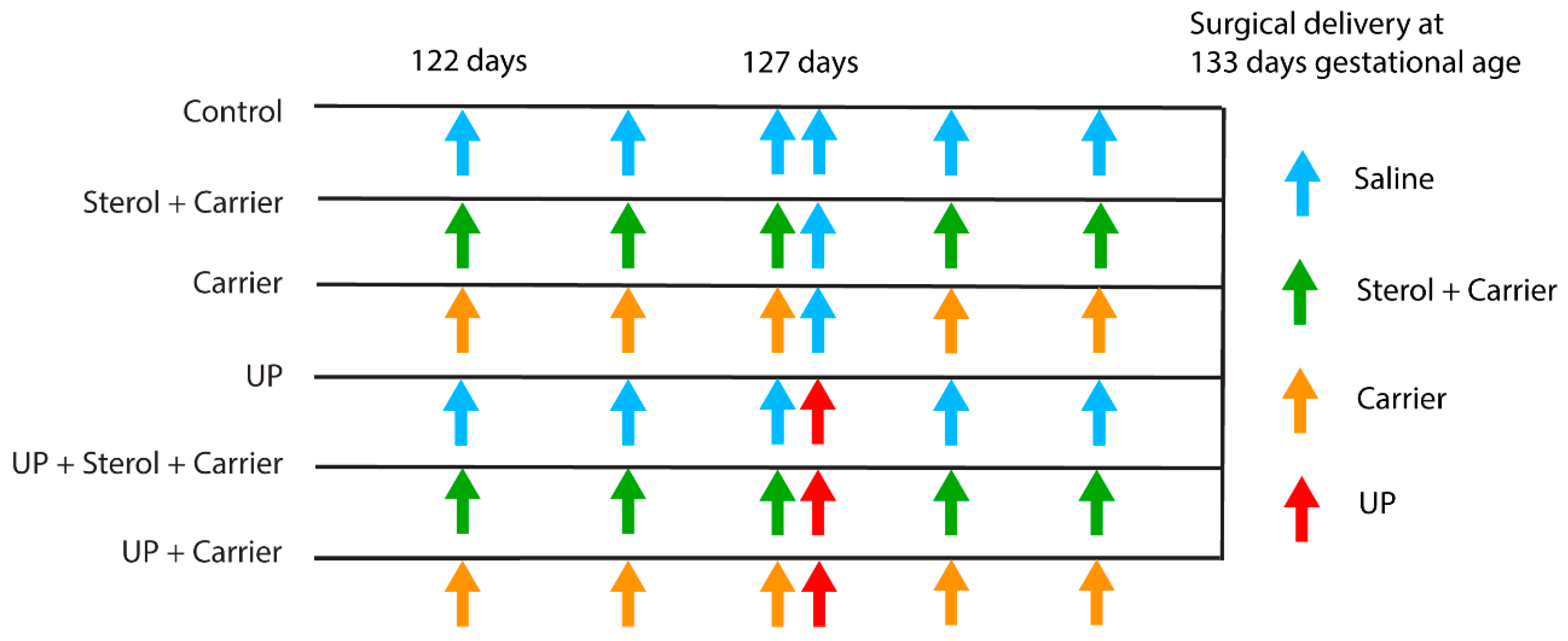 Nutrients 12 01312 g001
