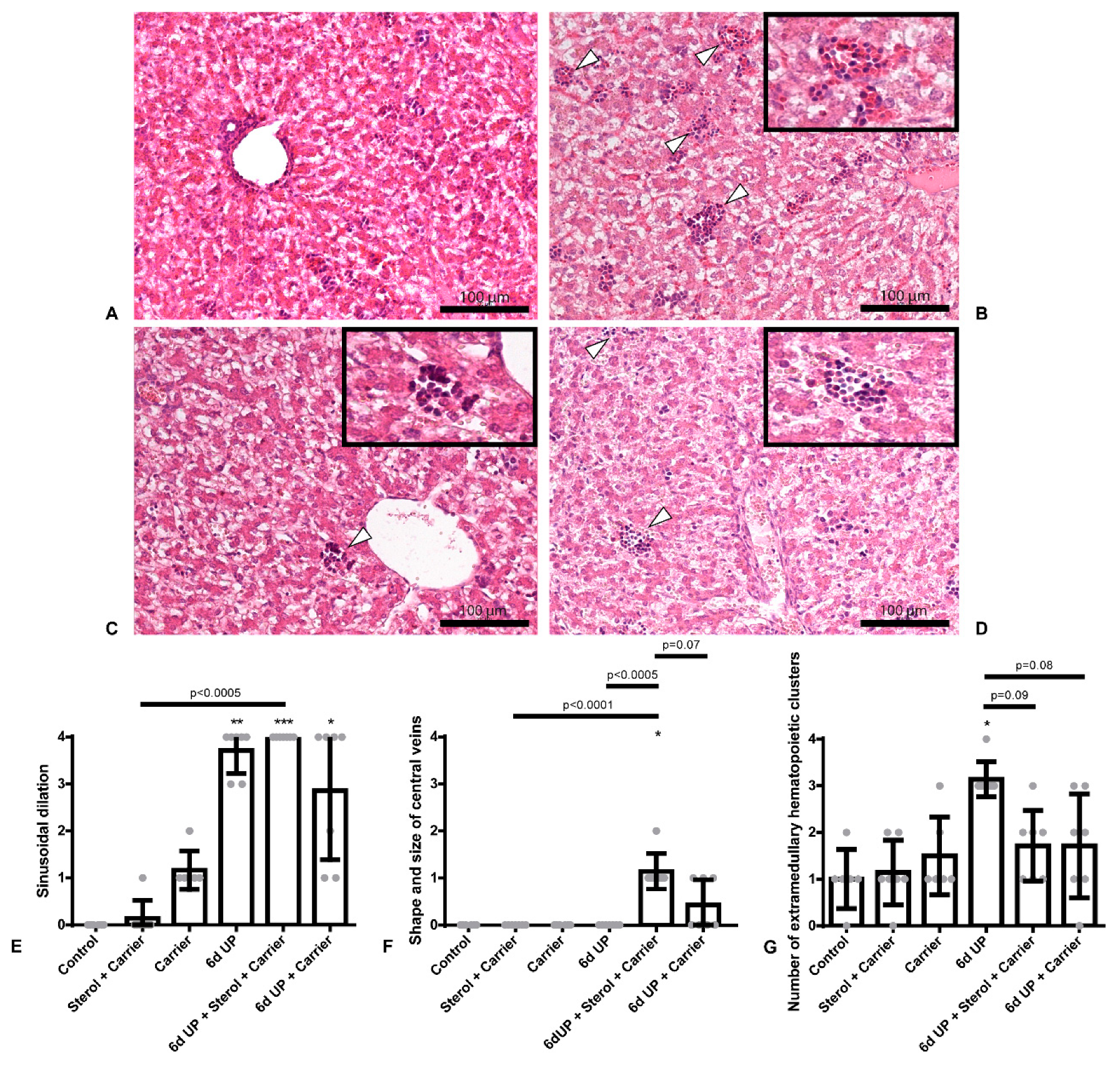Nutrients 12 01312 g002
