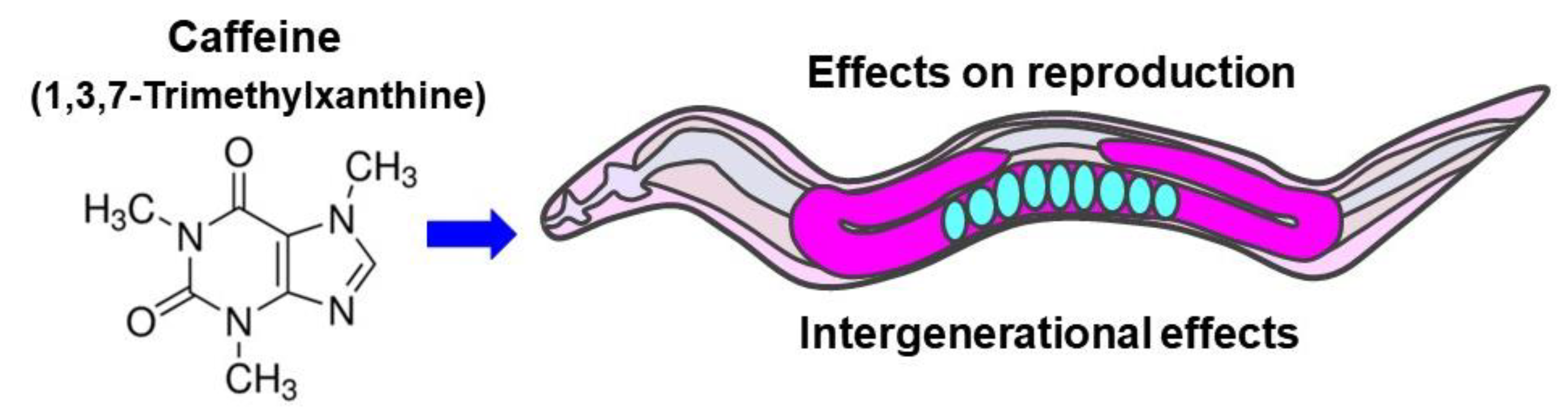Nutrients 12 01334 g001