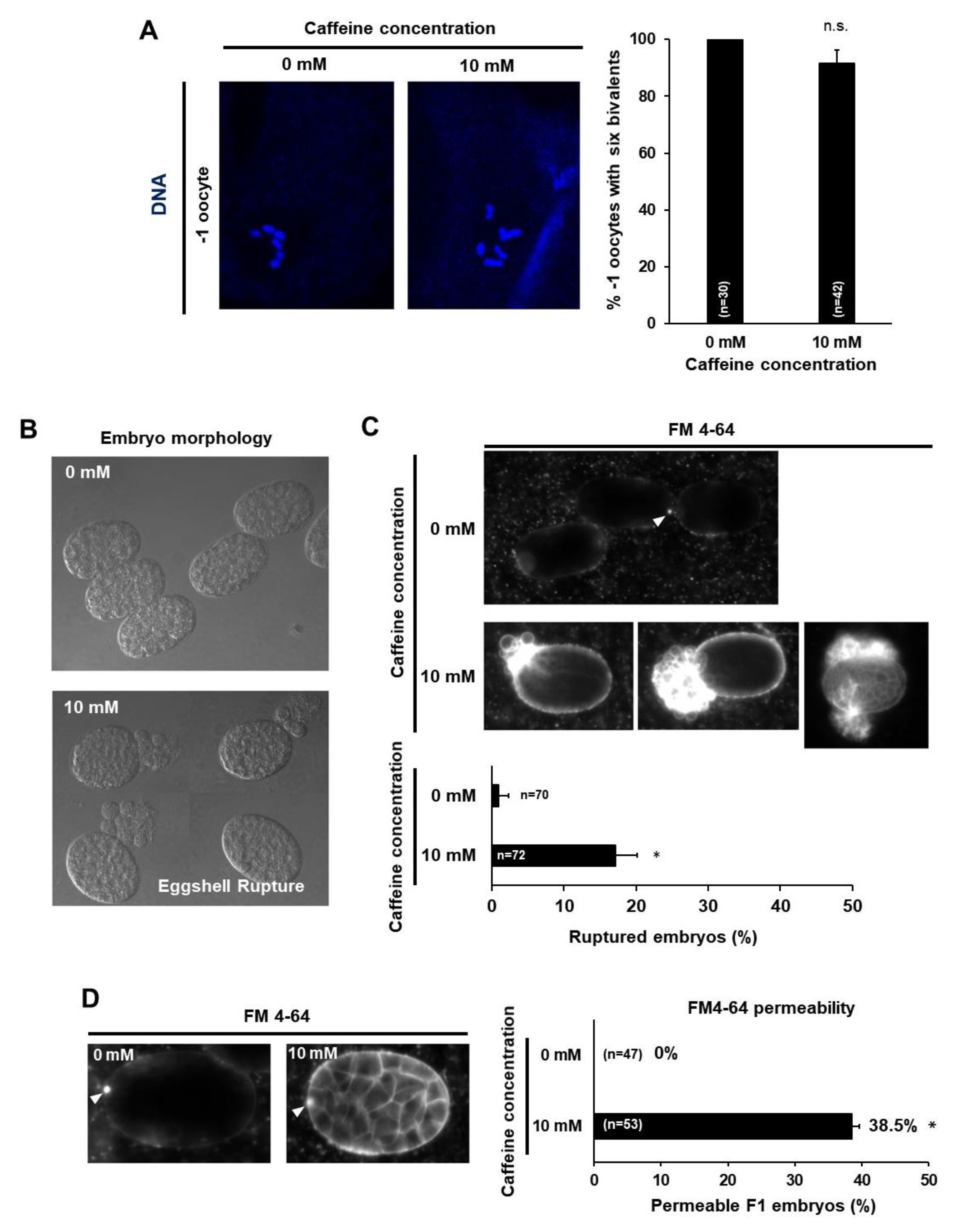 Nutrients 12 01334 g005