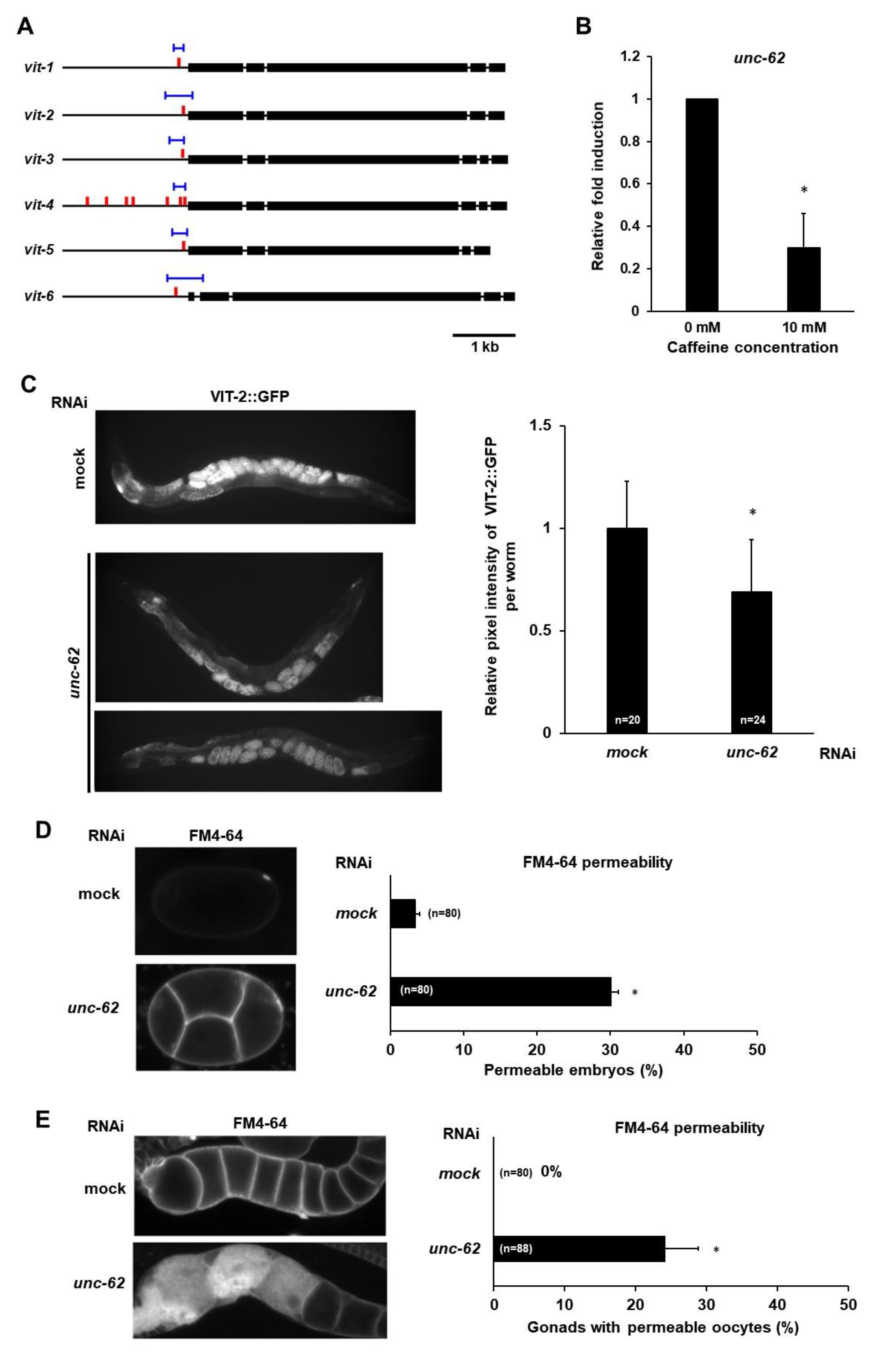 Nutrients 12 01334 g007