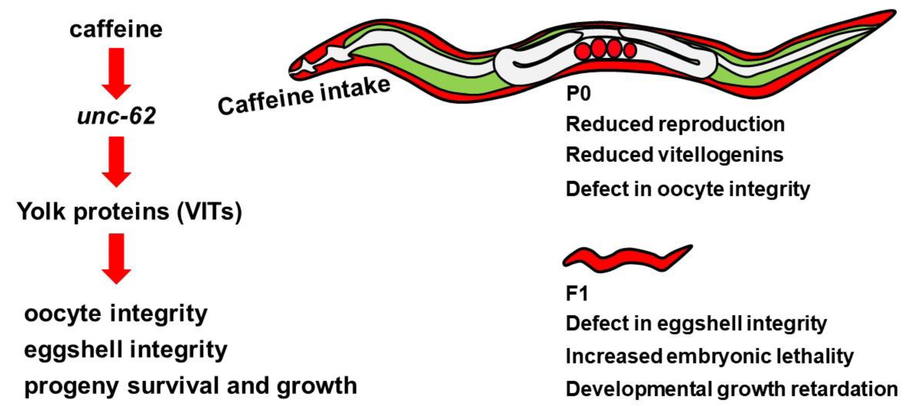 Nutrients 12 01334 g008