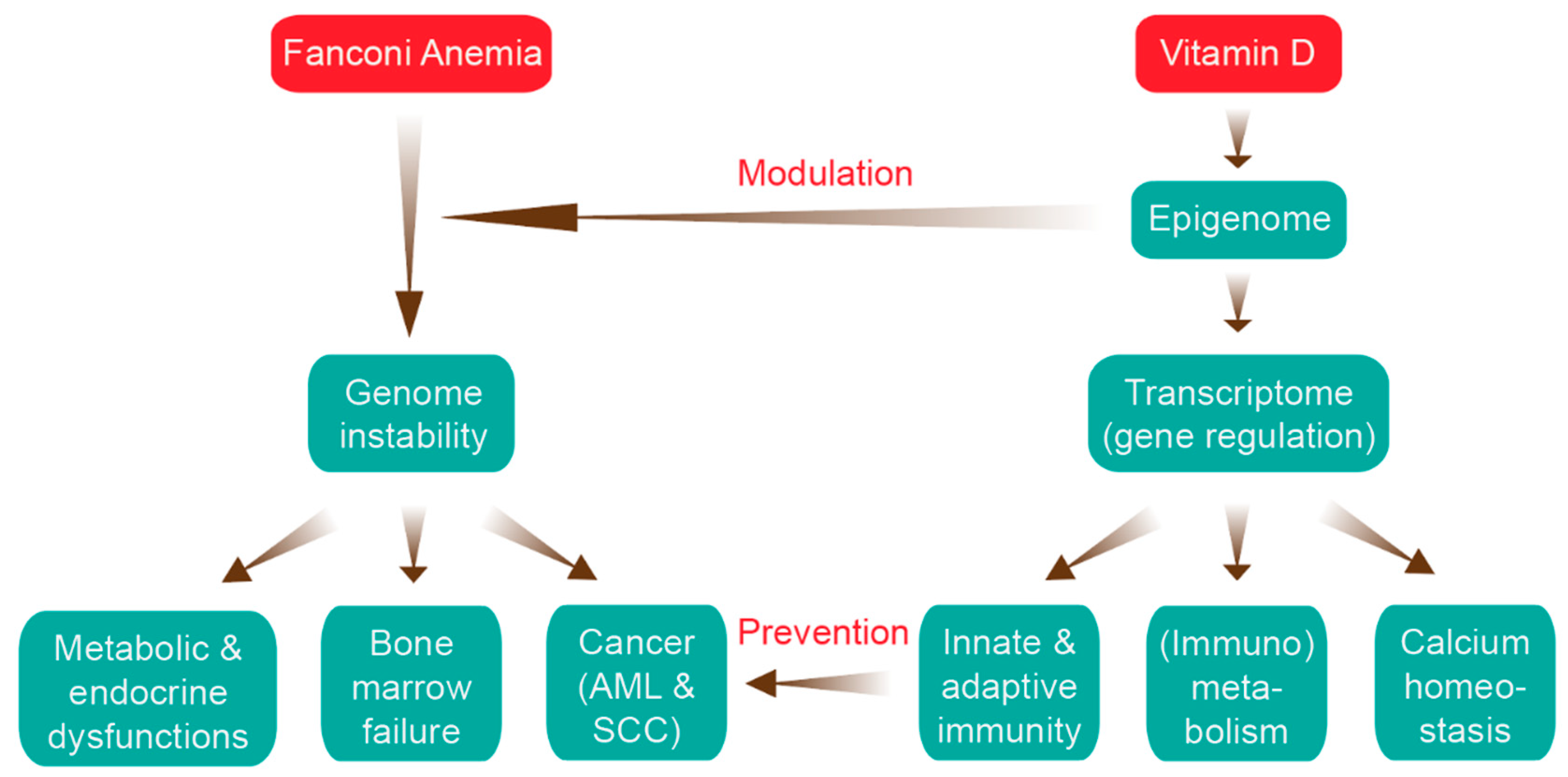Nutrients 12 01355 g001