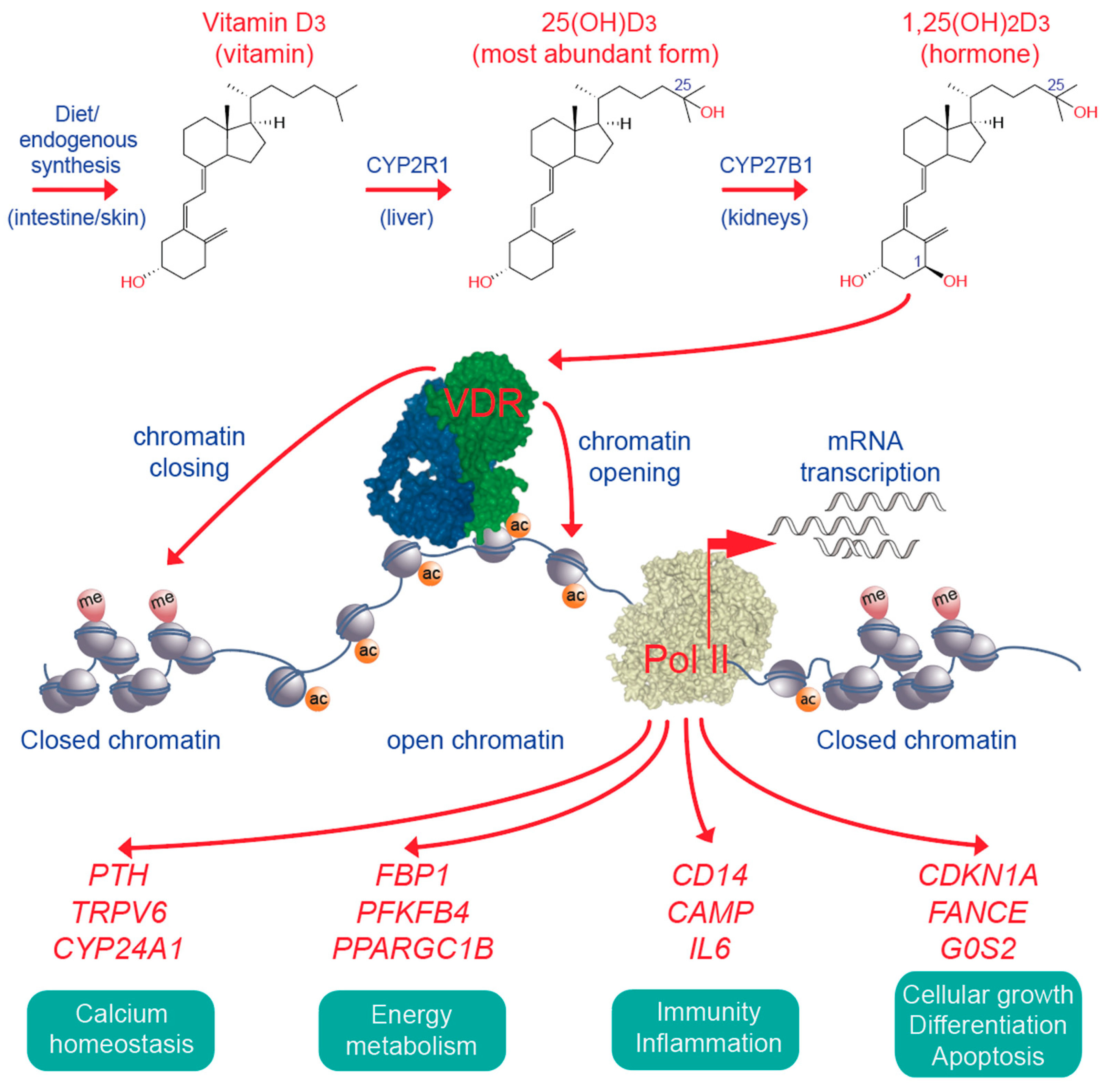 Nutrients 12 01355 g004