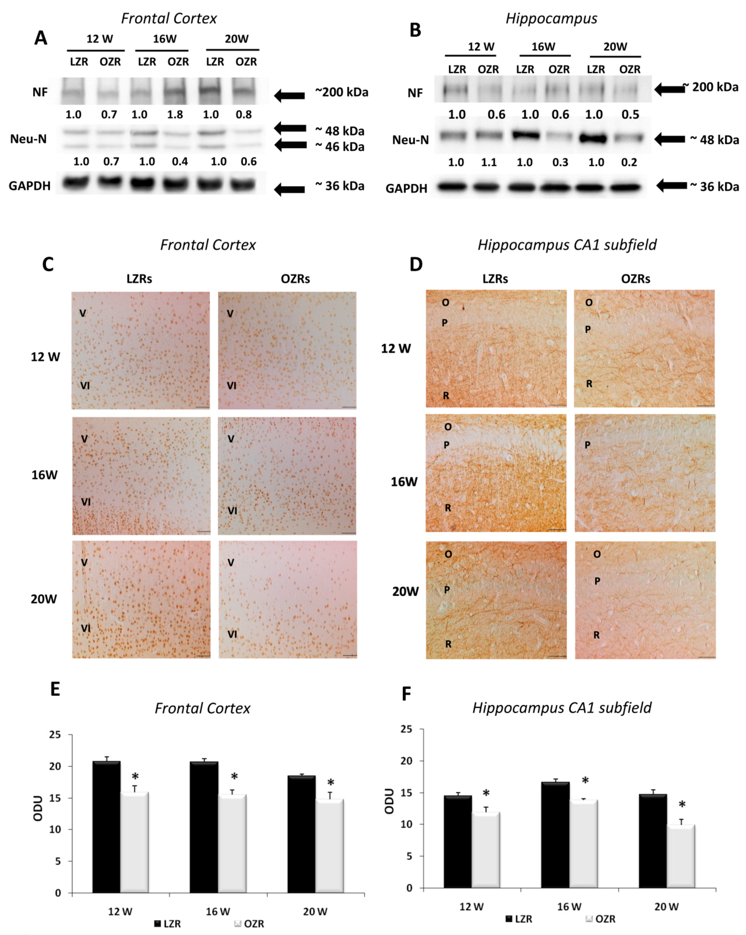 Nutrients 12 01356 g003