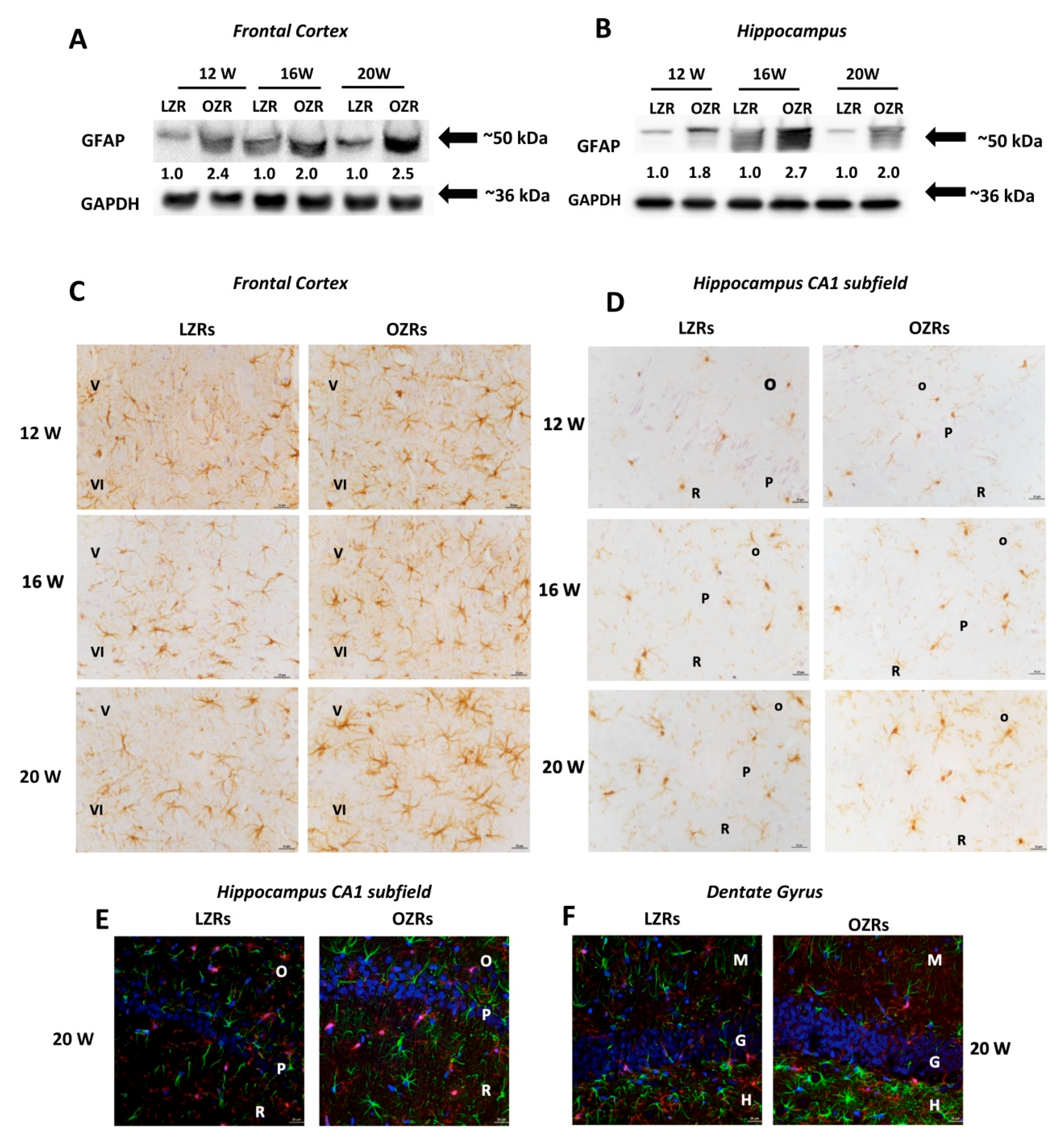 Nutrients 12 01356 g004