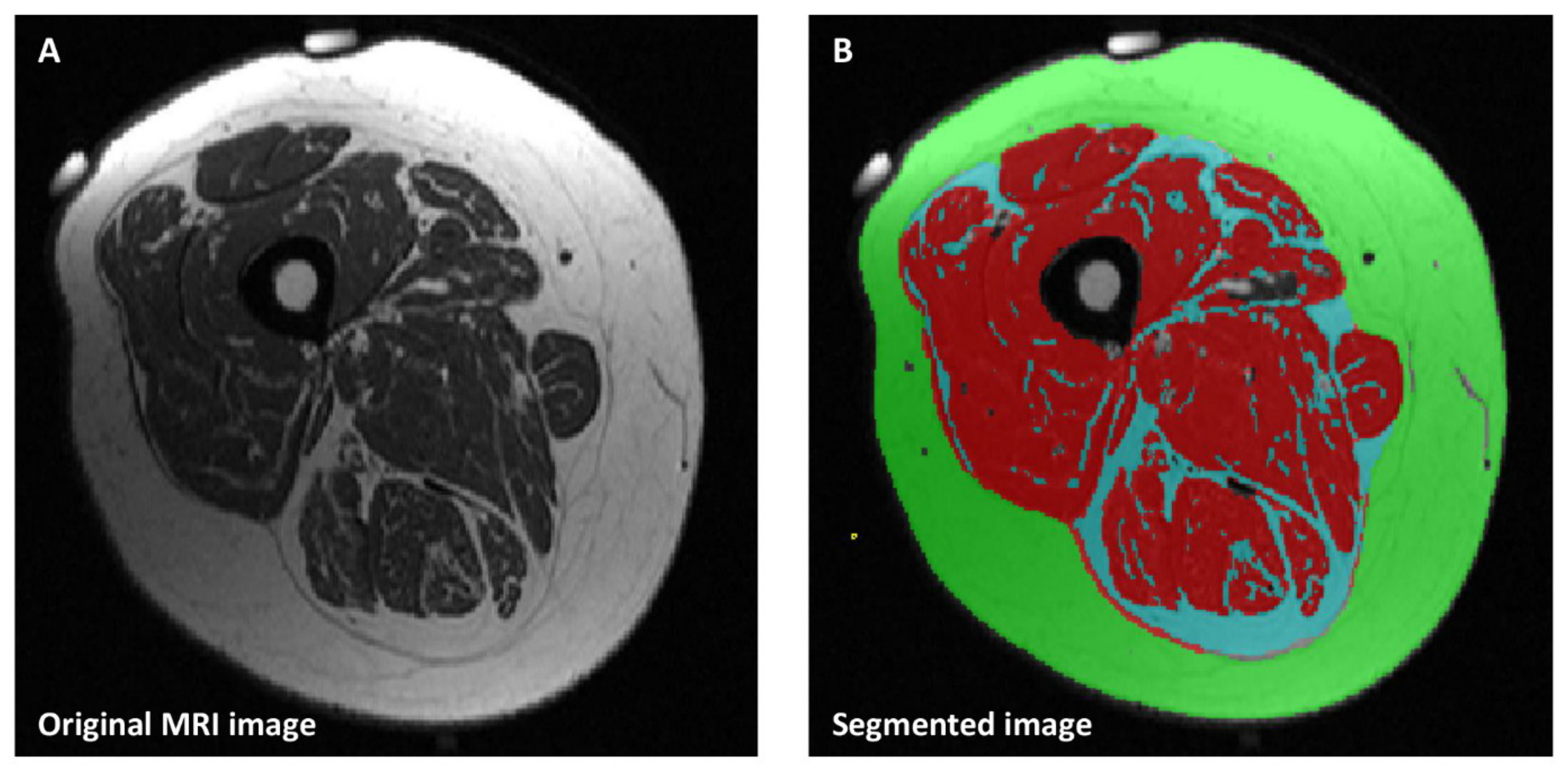 Nutrients 12 01387 g001