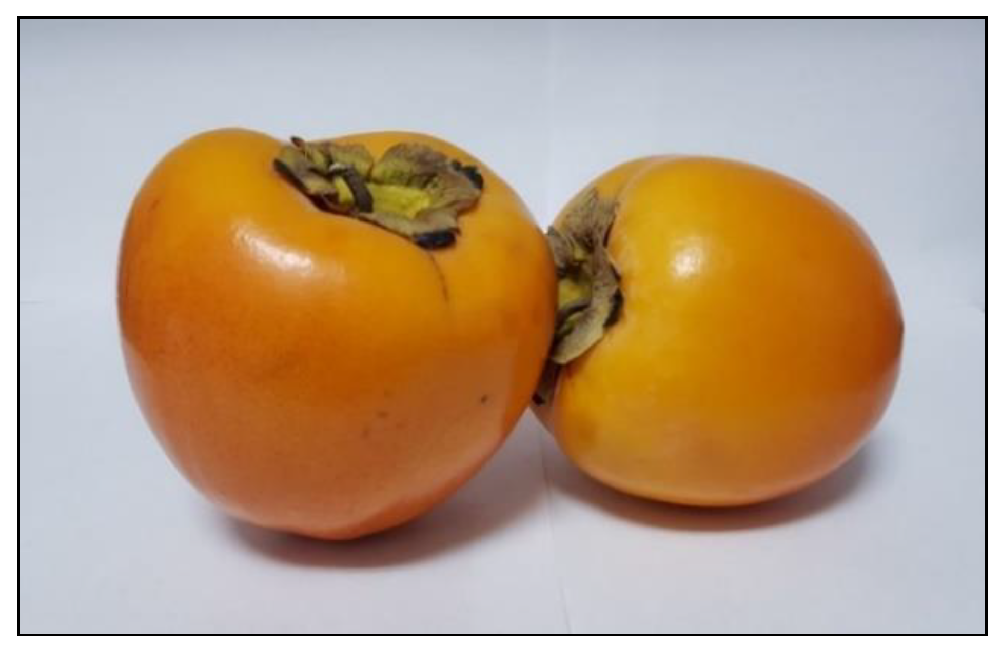 Nutrients 12 01397 g001