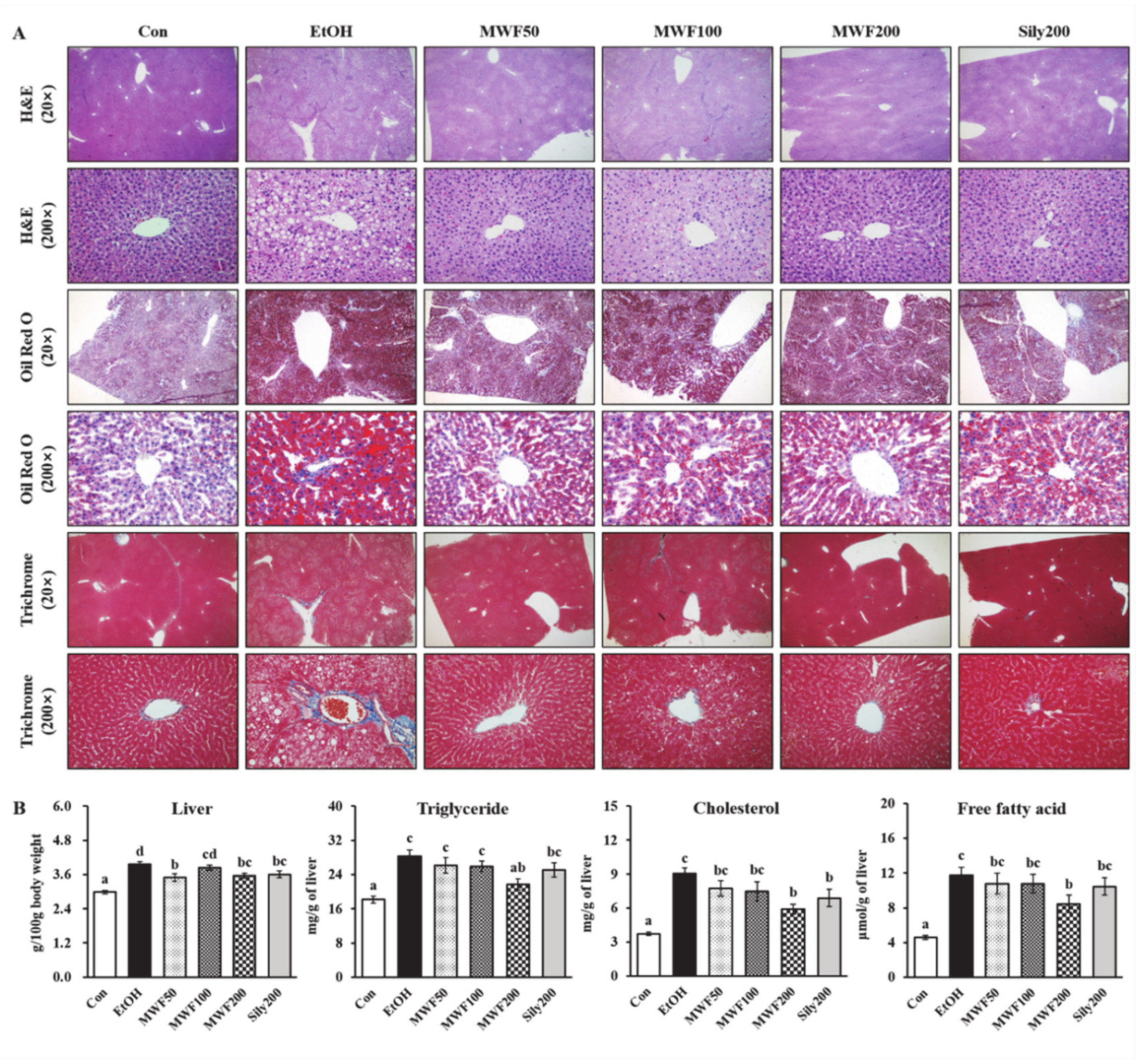 Nutrients 12 01426 g001