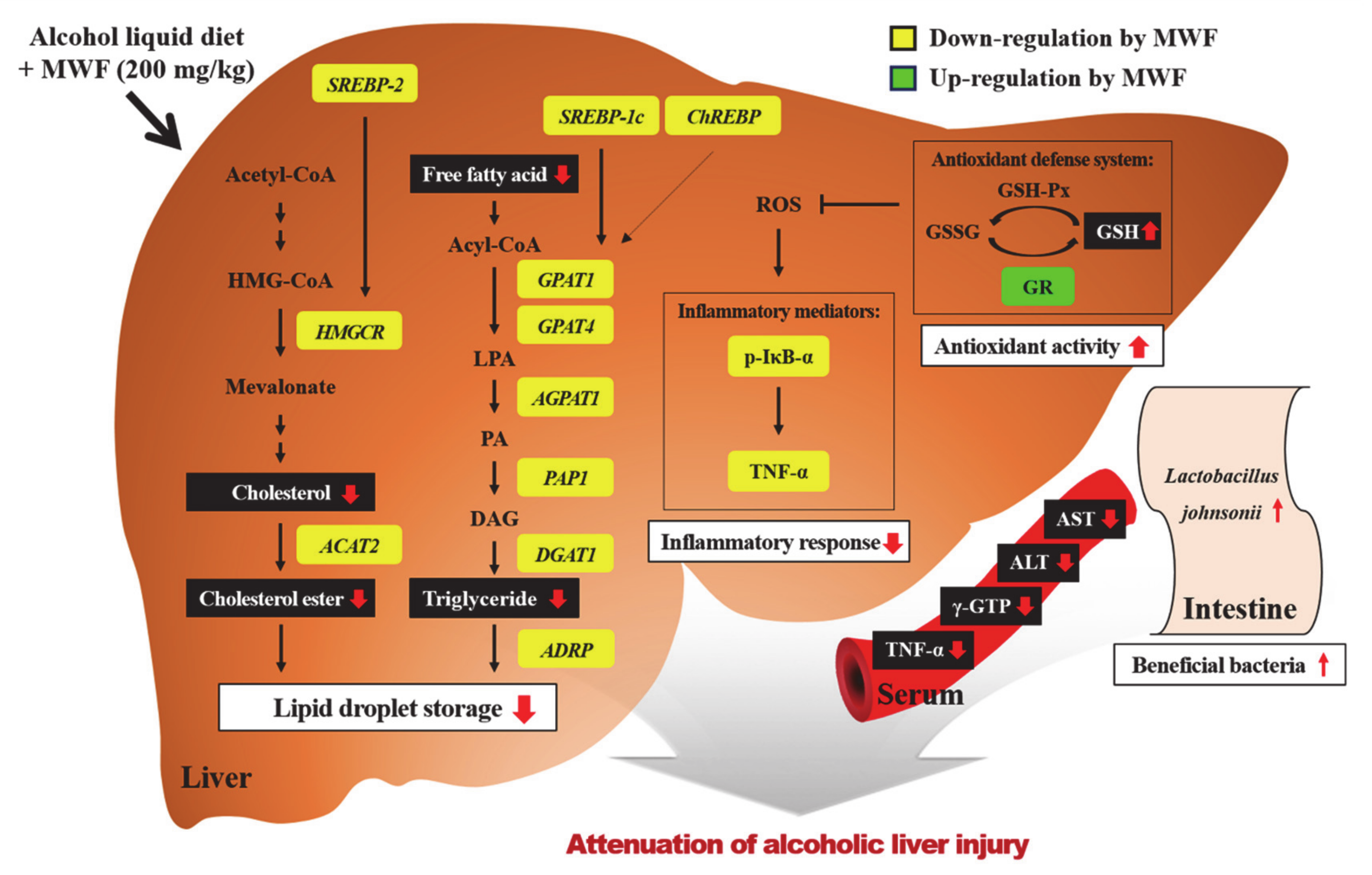 Nutrients 12 01426 g005