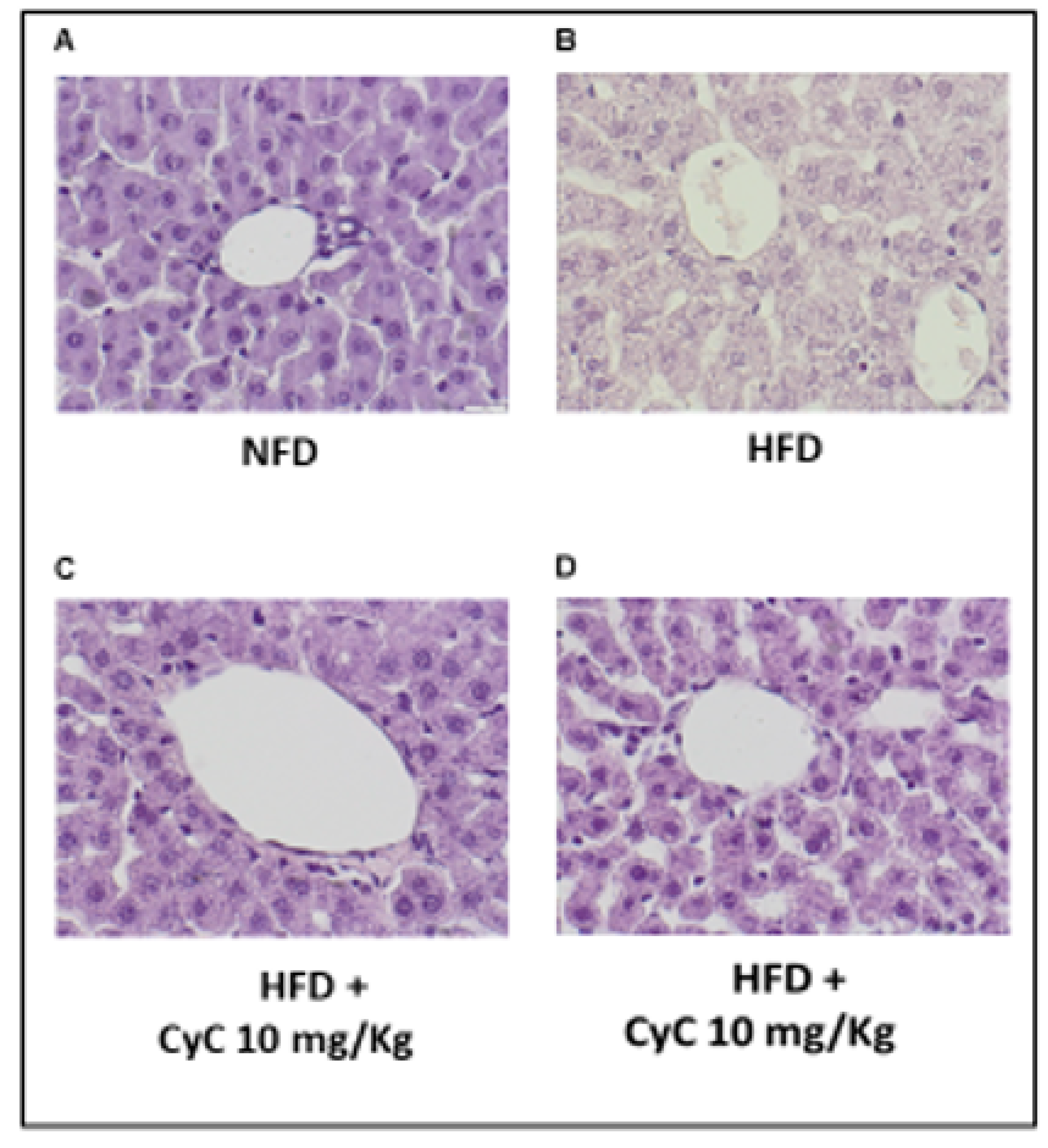 Nutrients 12 01435 g003