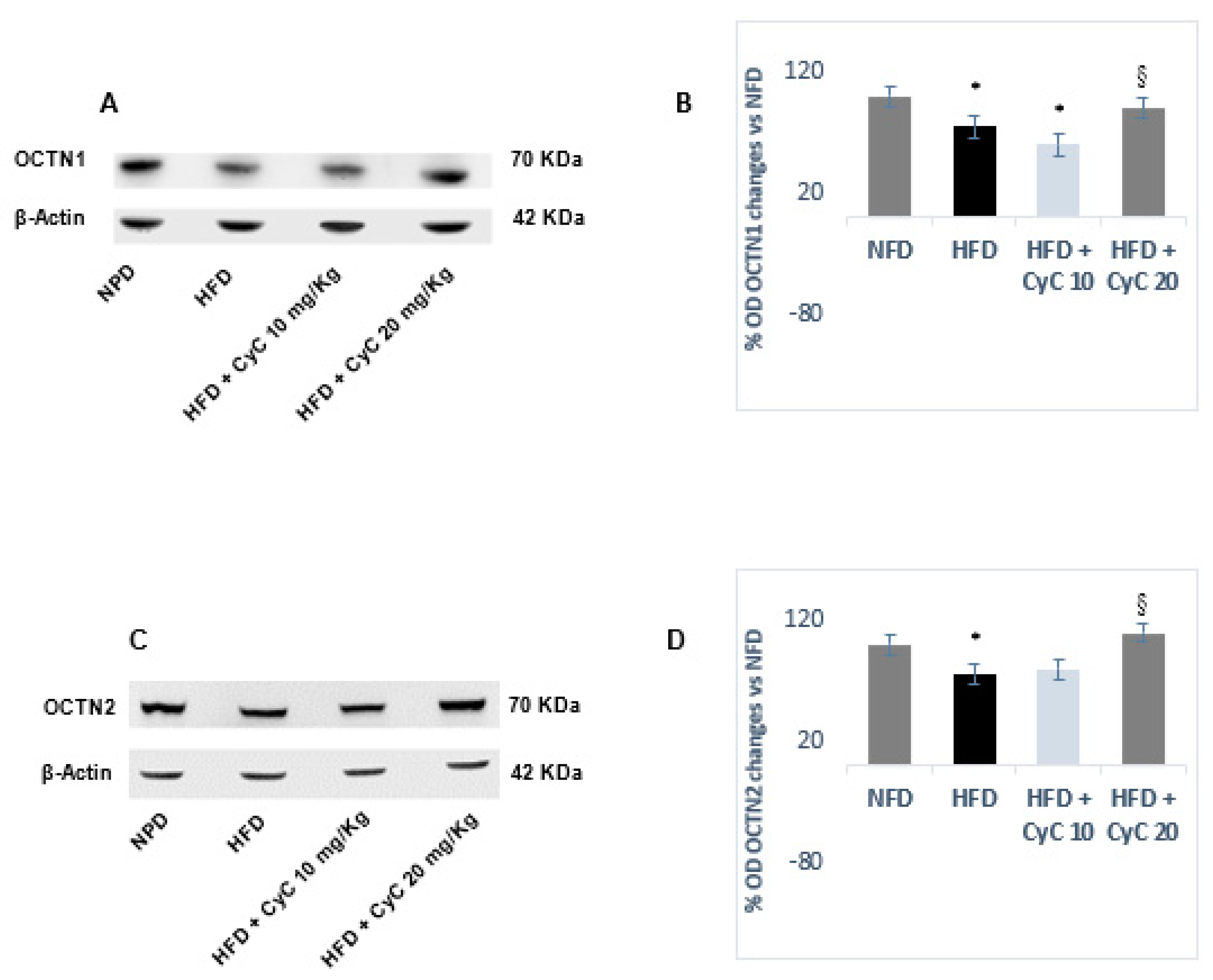 Nutrients 12 01435 g004