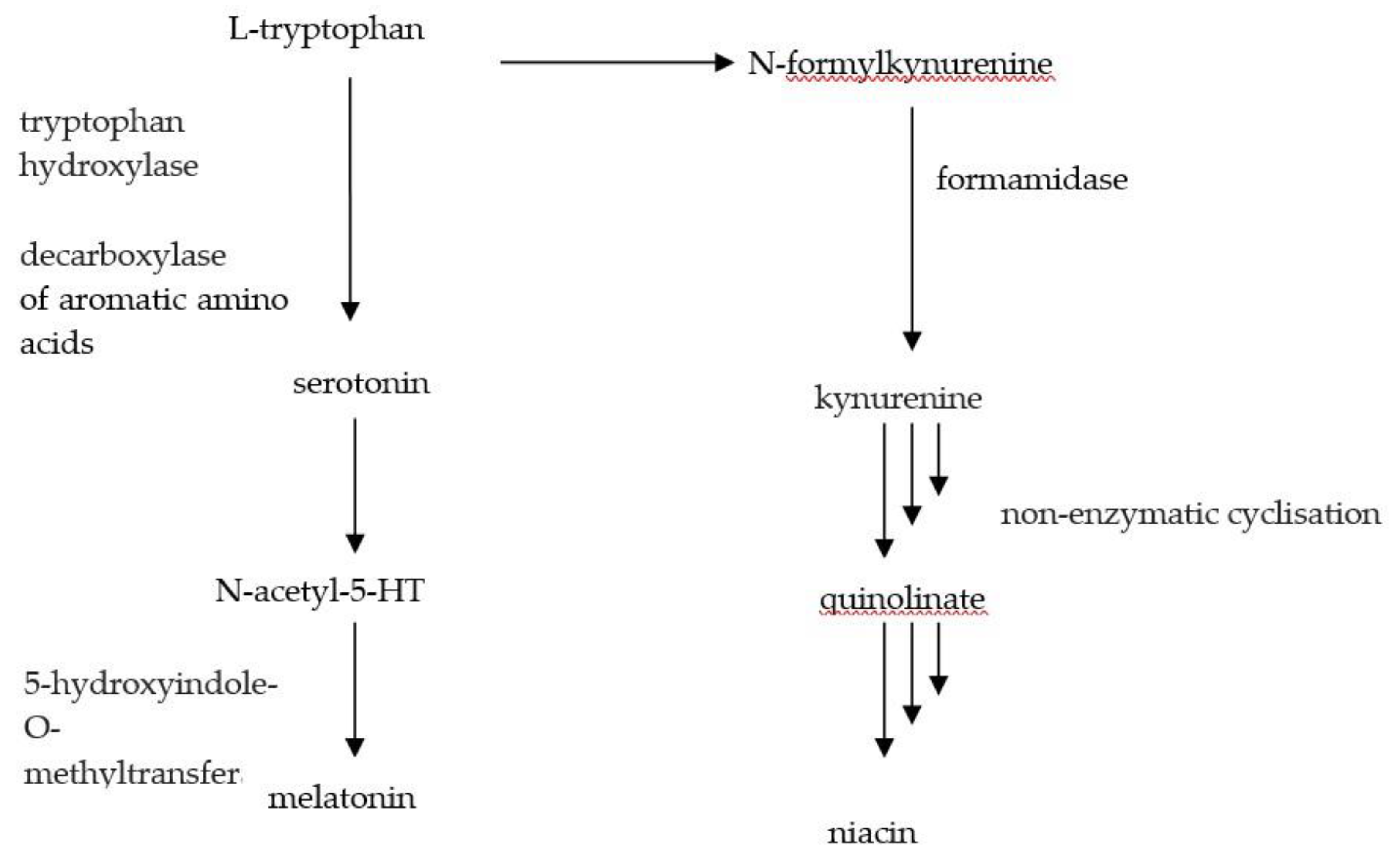 Nutrients 12 01437 g002