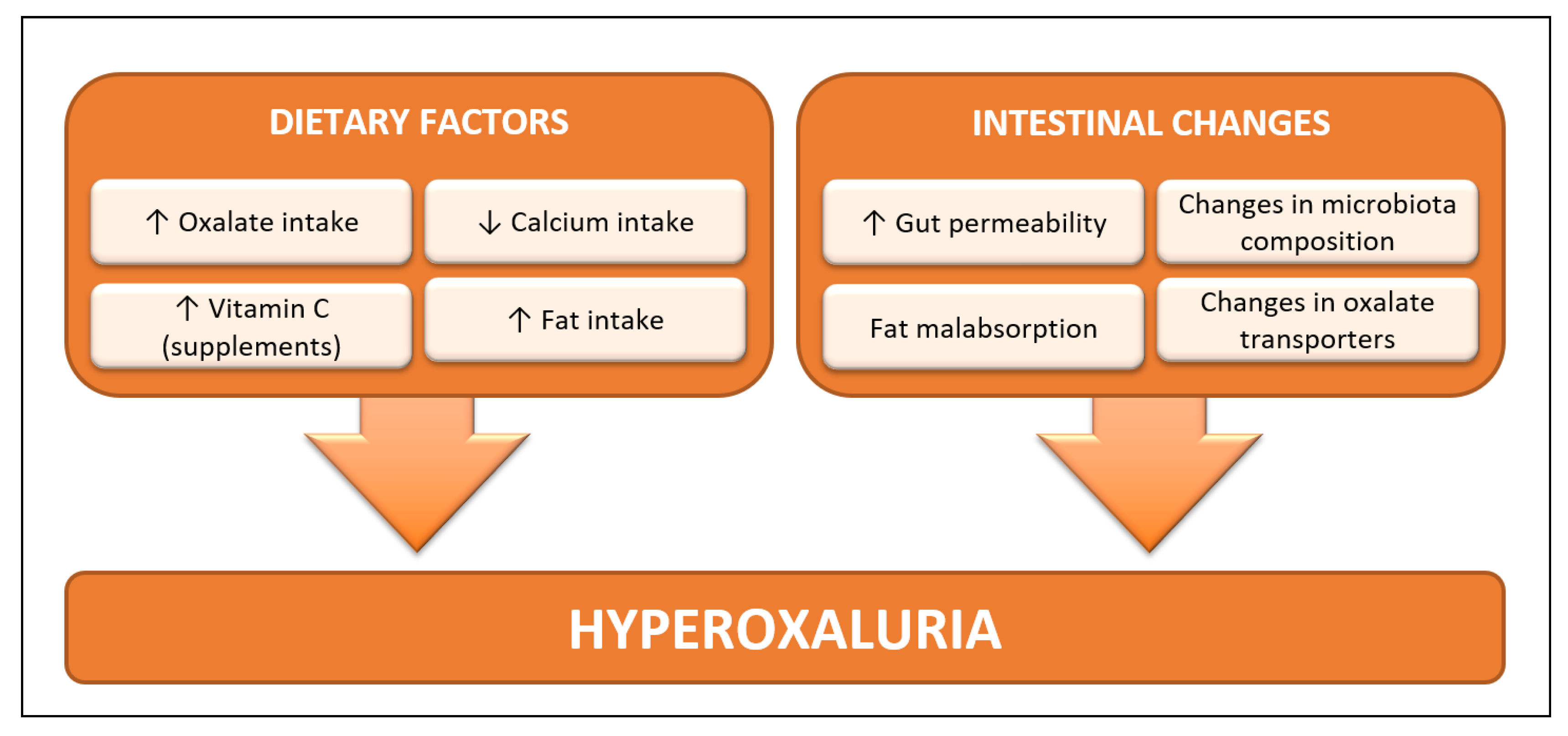 Nutrients 12 01442 g001