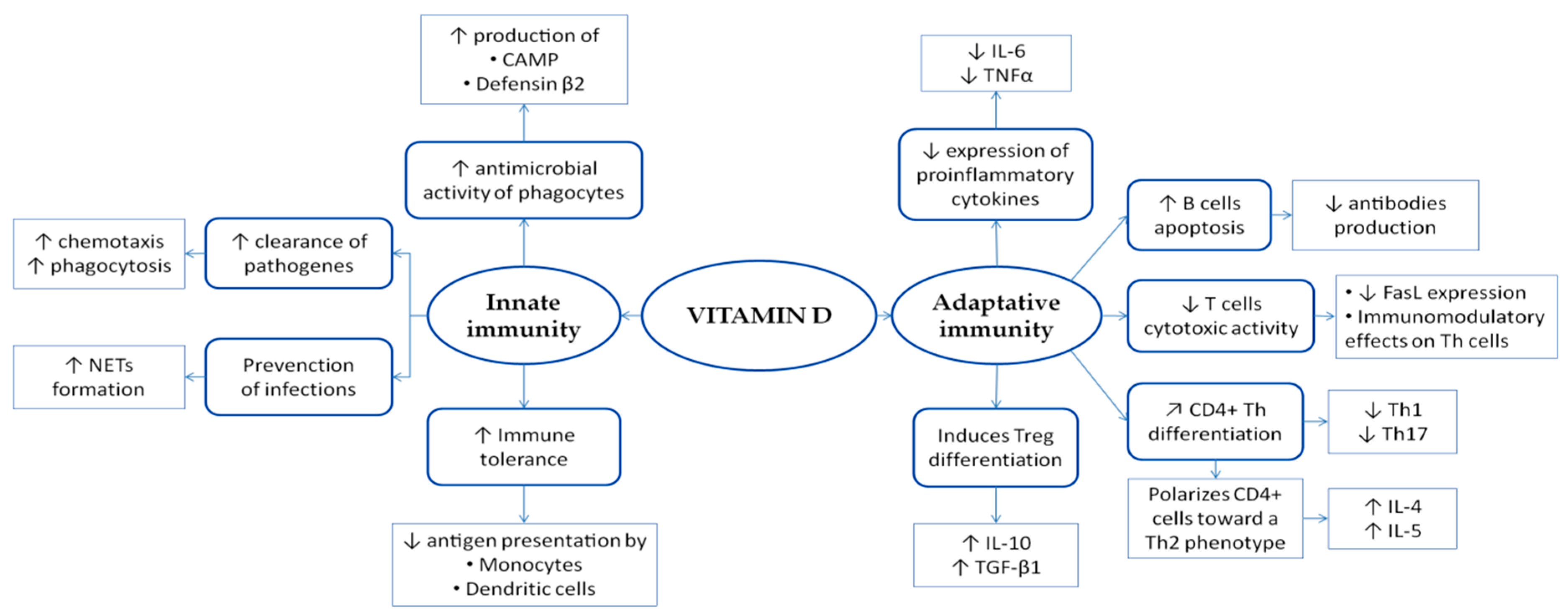 Nutrients 12 01444 g001