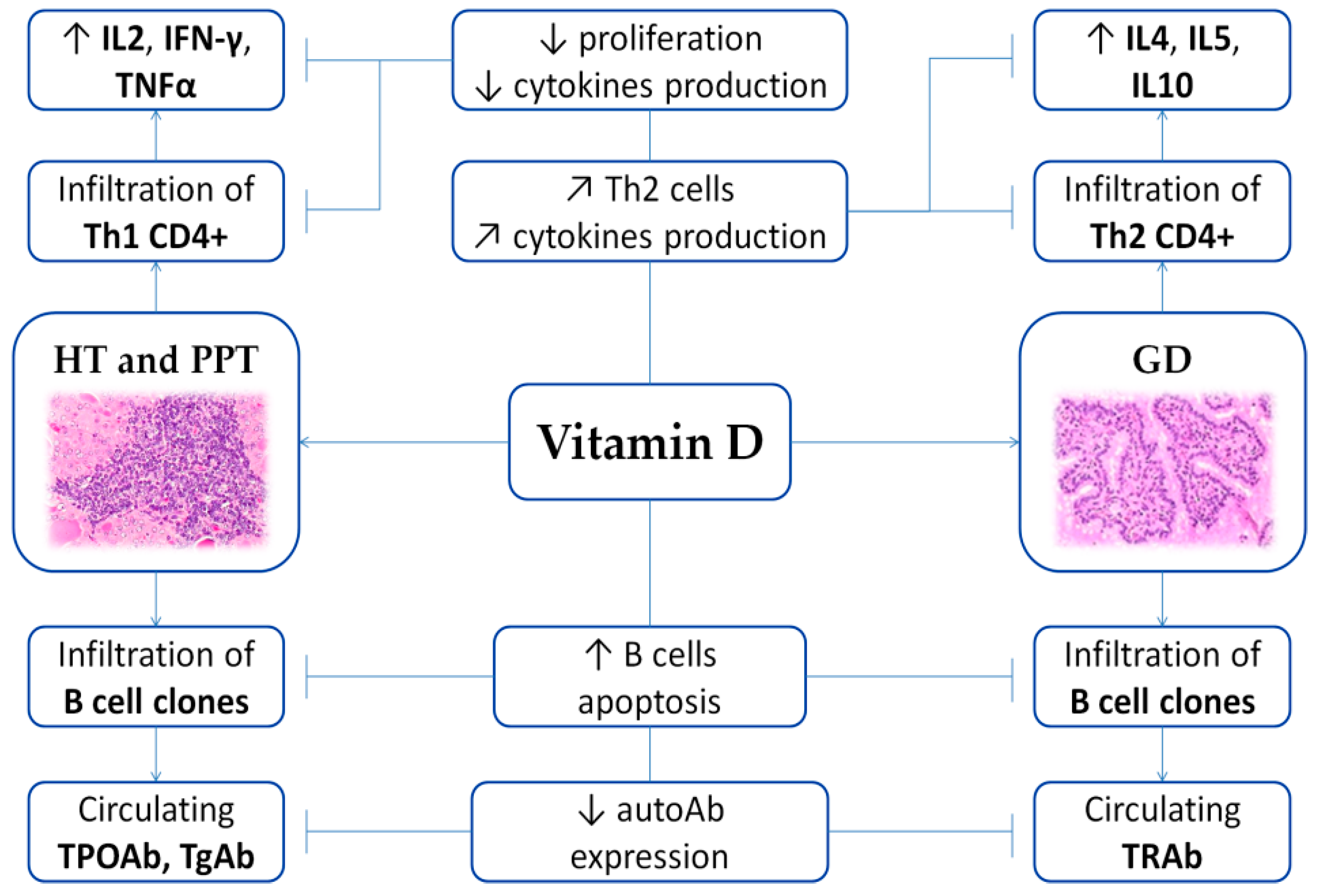 Nutrients 12 01444 g002