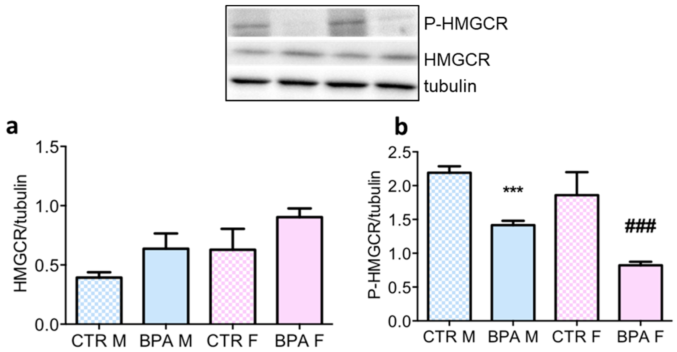 Nutrients 12 01448 g003 Nutrients 12 01448 g003