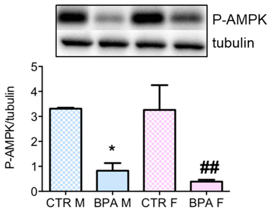 Nutrients 12 01448 g004 Nutrients 12 01448 g004