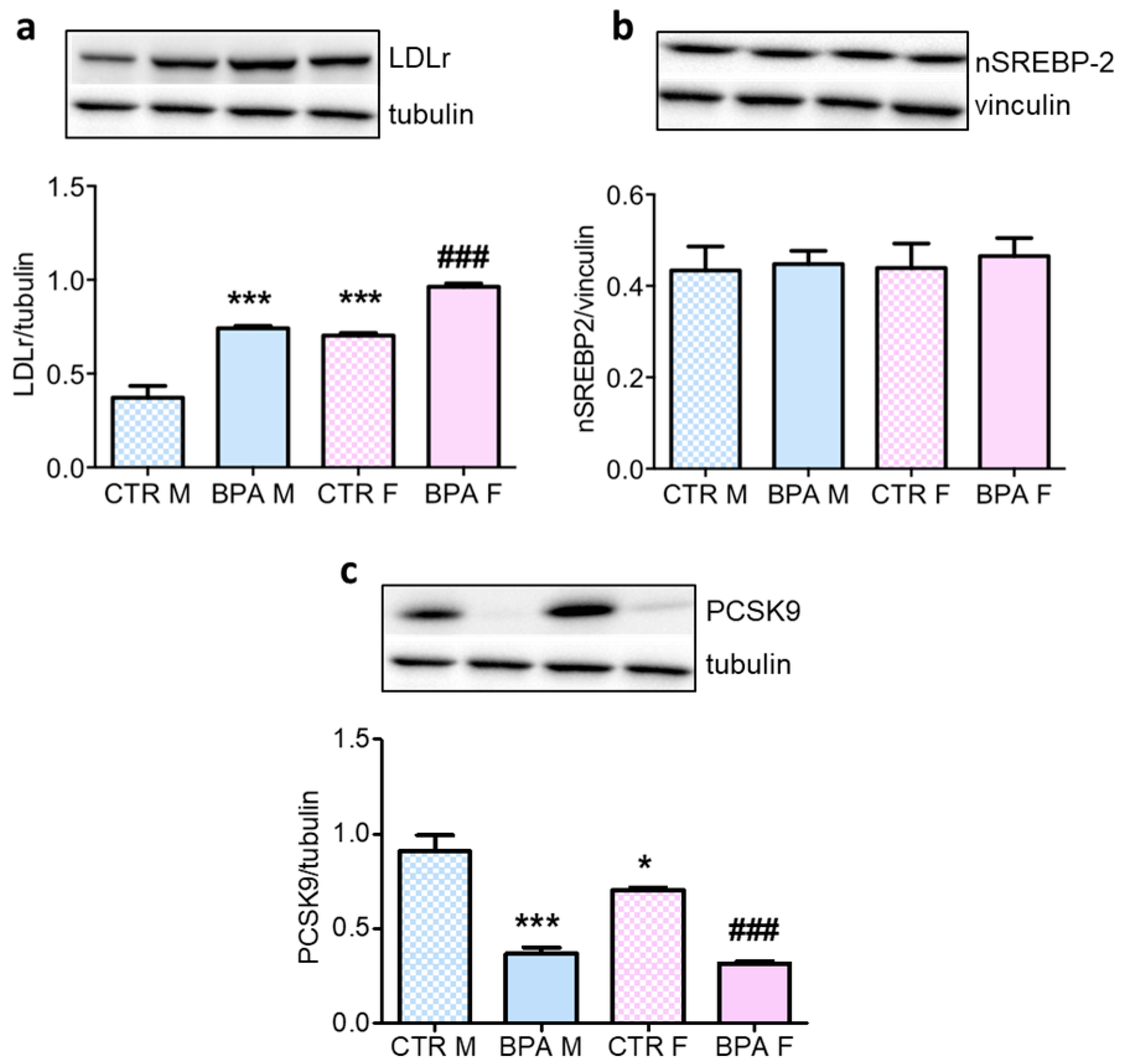 Nutrients 12 01448 g005 Nutrients 12 01448 g005
