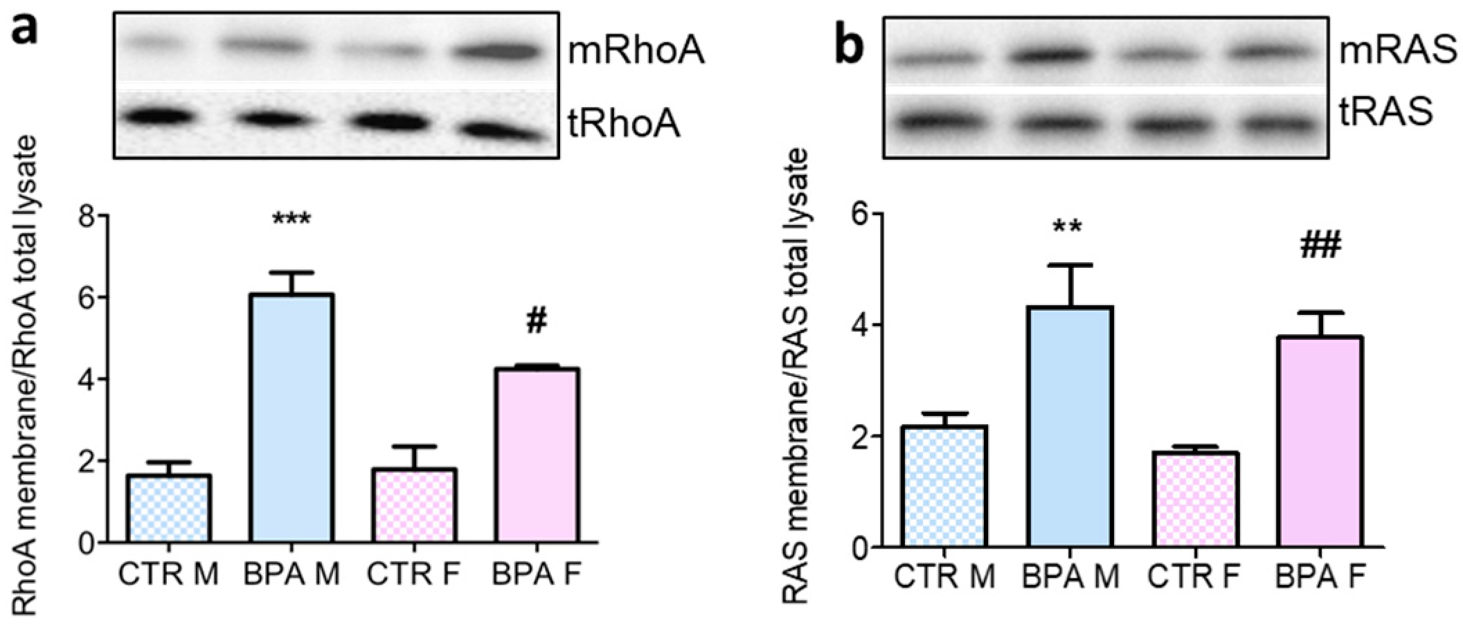 Nutrients 12 01448 g006 Nutrients 12 01448 g006