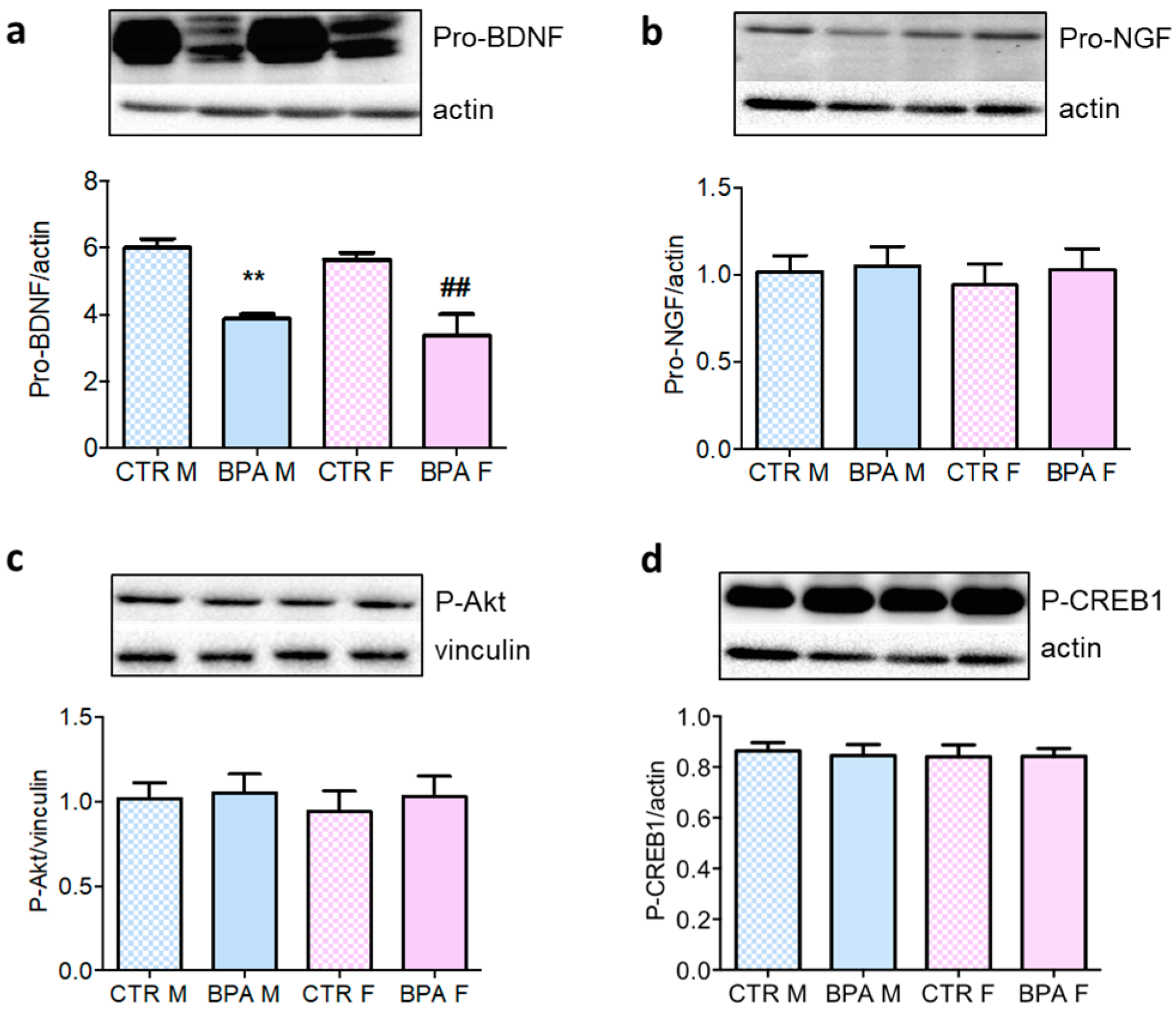 Nutrients 12 01448 g007 Nutrients 12 01448 g007