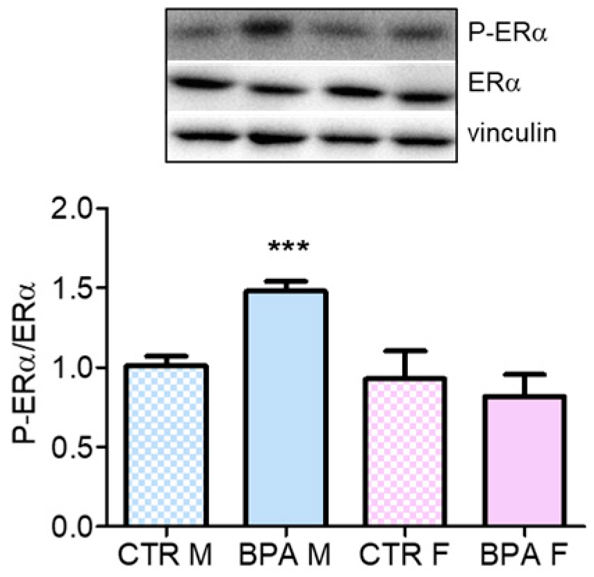 Nutrients 12 01448 g008 Nutrients 12 01448 g008