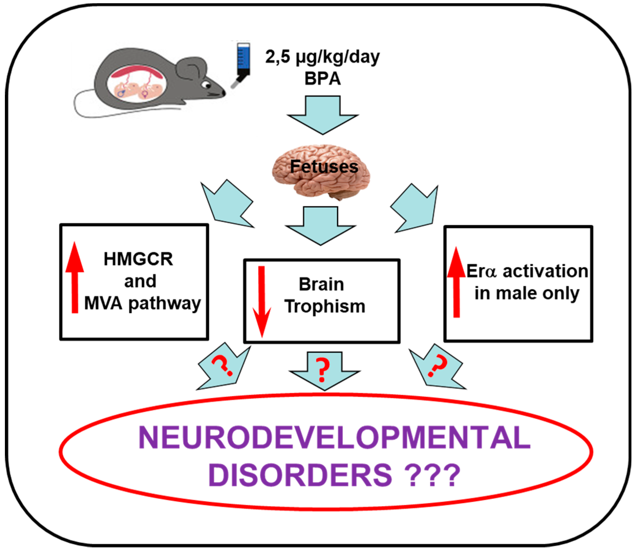 Nutrients 12 01448 g009 Nutrients 12 01448 g009