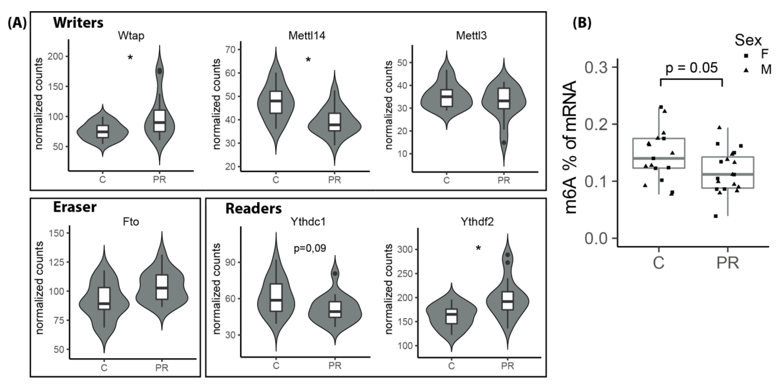 Nutrients 12 01464 g007 Nutrients 12 01464 g007